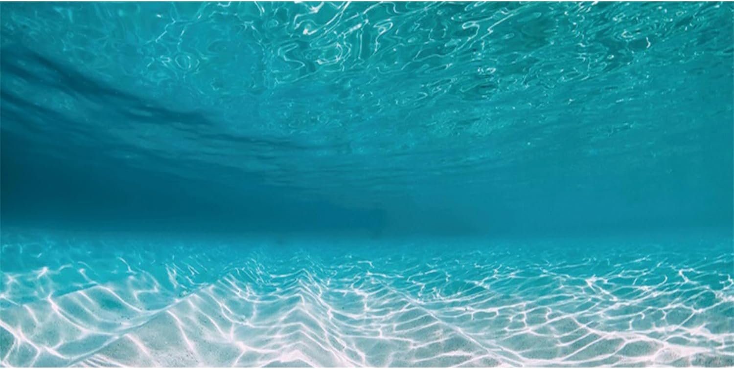 AWERT 48×24 inches Undersea Aquarium Background Pool Ocean Floor Aquarium Background Underwater Fish Tank Background