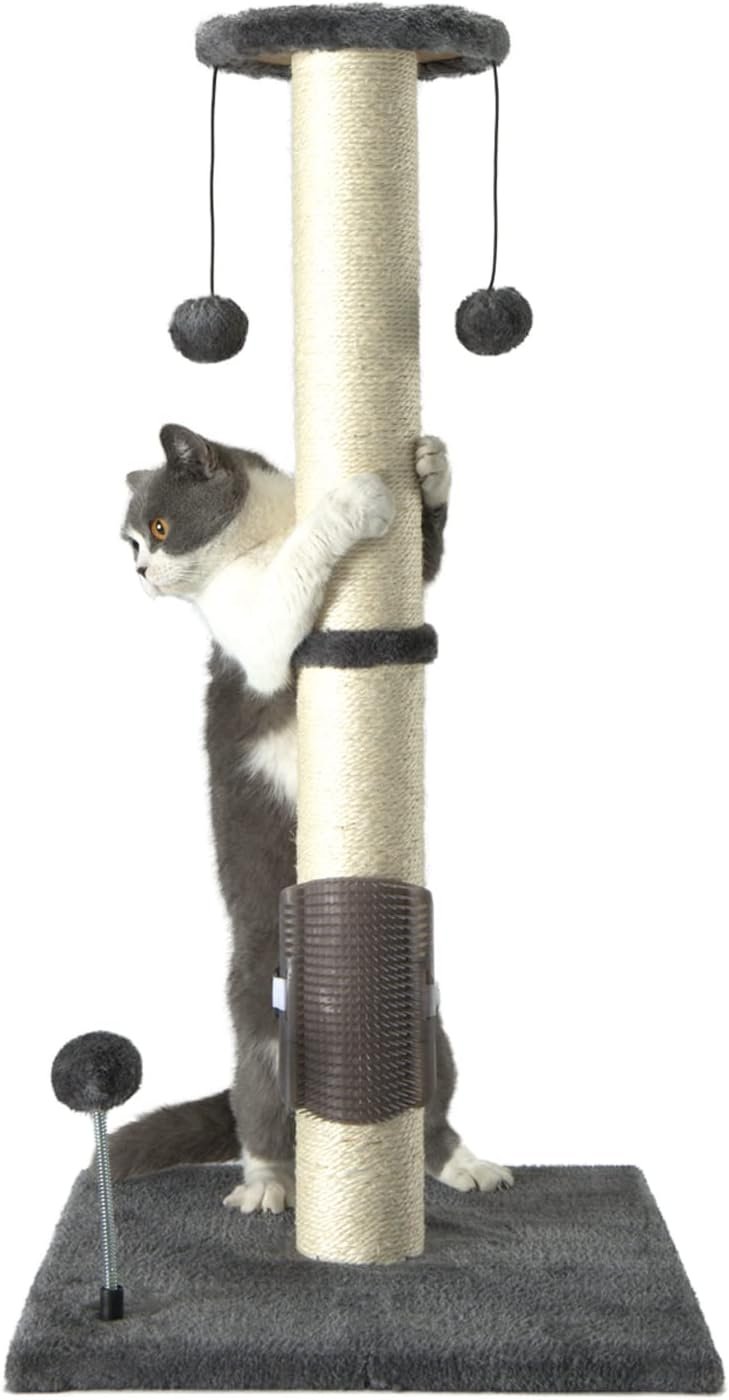 PEEKAB 32″ Tall Cat Scratching Post Sisal Scratch Posts,with Hanging Ball and Self-Massage Brush Vertical Scratcher for Indoor Cats and Kittens Gray 32inches