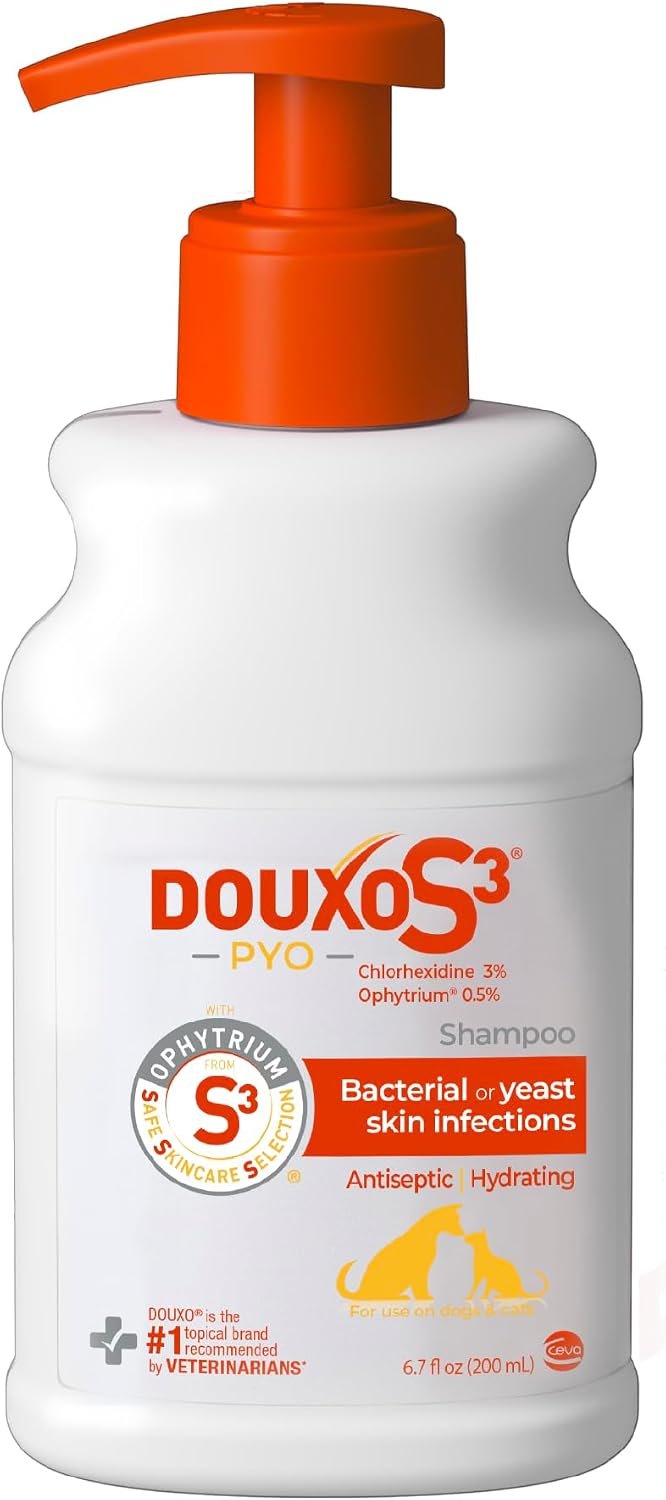 Douxo S3 PYO Medicated Dog Shampoo with 3% Chlorhexidine for Dogs – Antibacterial & Antiseptic Yeast Infection Treatment For Dogs & Cats, Clinically Proven, 6.7 fl oz | Antibacterial & Antiseptic Yeast Infection Treatment For Dogs & Cats, Clinically Proven, 6.7 fl oz