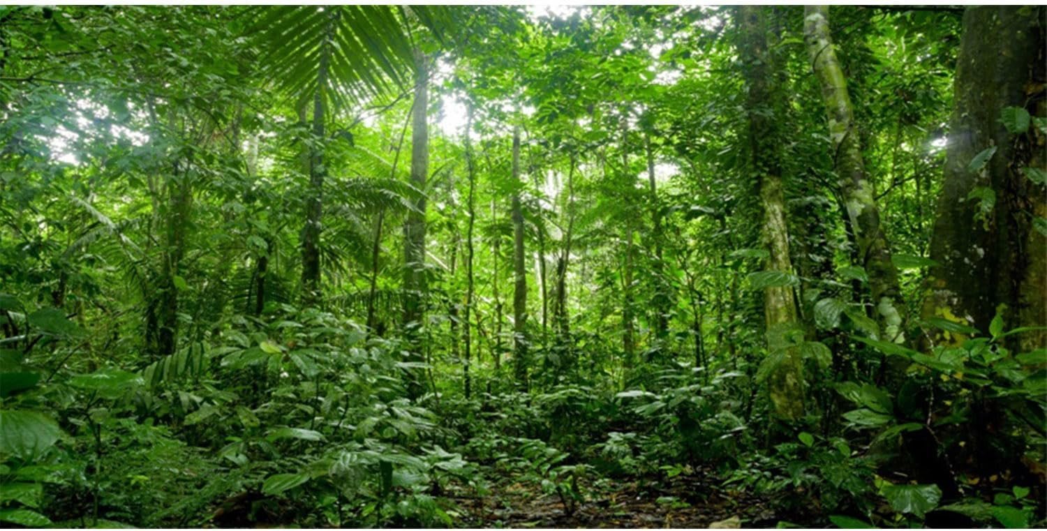AWERT 48×18 inches Terrarium Background Tropical Aquarium Background Green Huge Tree Rainforest Reptile Habitat Background Durable Polyester Background