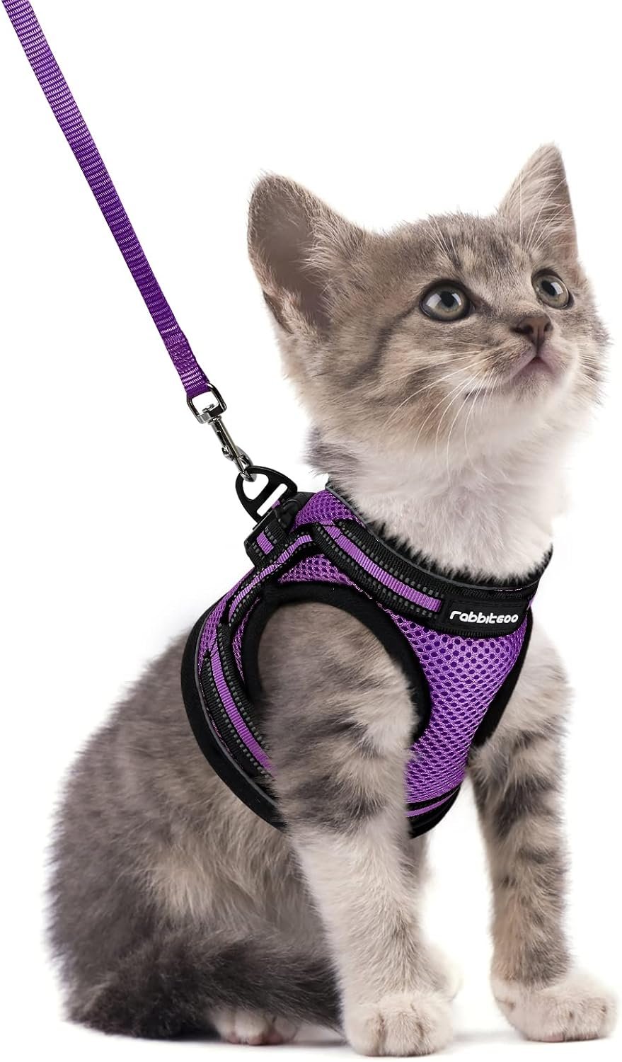 rabbitgoo Cat Harness and Leash Set, Step-in Soft Vest, Purple | Escape Proof, Lightweight, Easy-on & Adjustable, Hook & Loop with Buckle, Reflective, for Kittens & Small Cats Walks, S