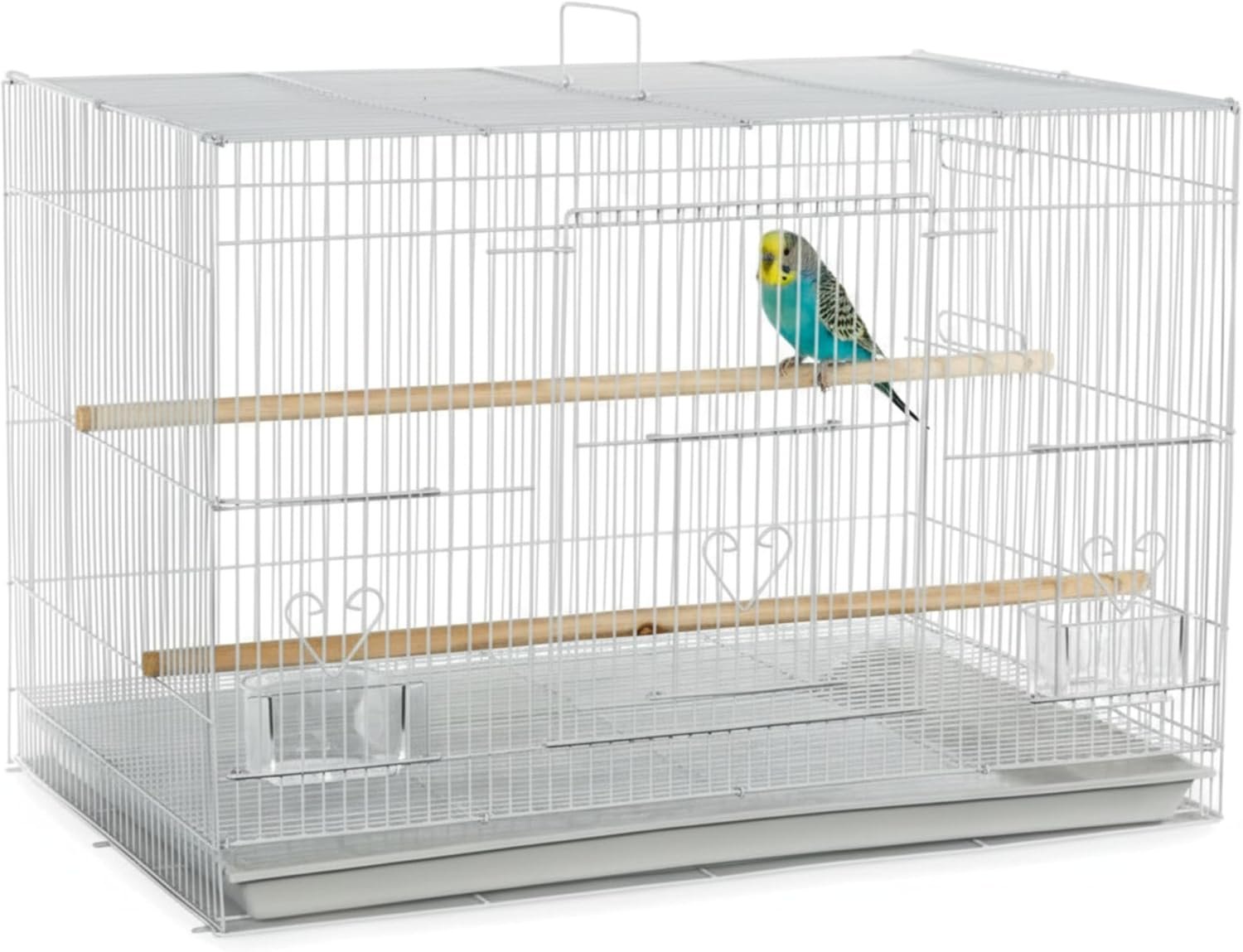 A&E Cage Co 503 Flight Bird Cage for Finches & Parakeets, 24″x16″x16″ White | 2 Feeder Stations, Wood Perch, Slide-Out Cleaning Tray, Carry Handle, Safe Bar Spacing for Small Birds
