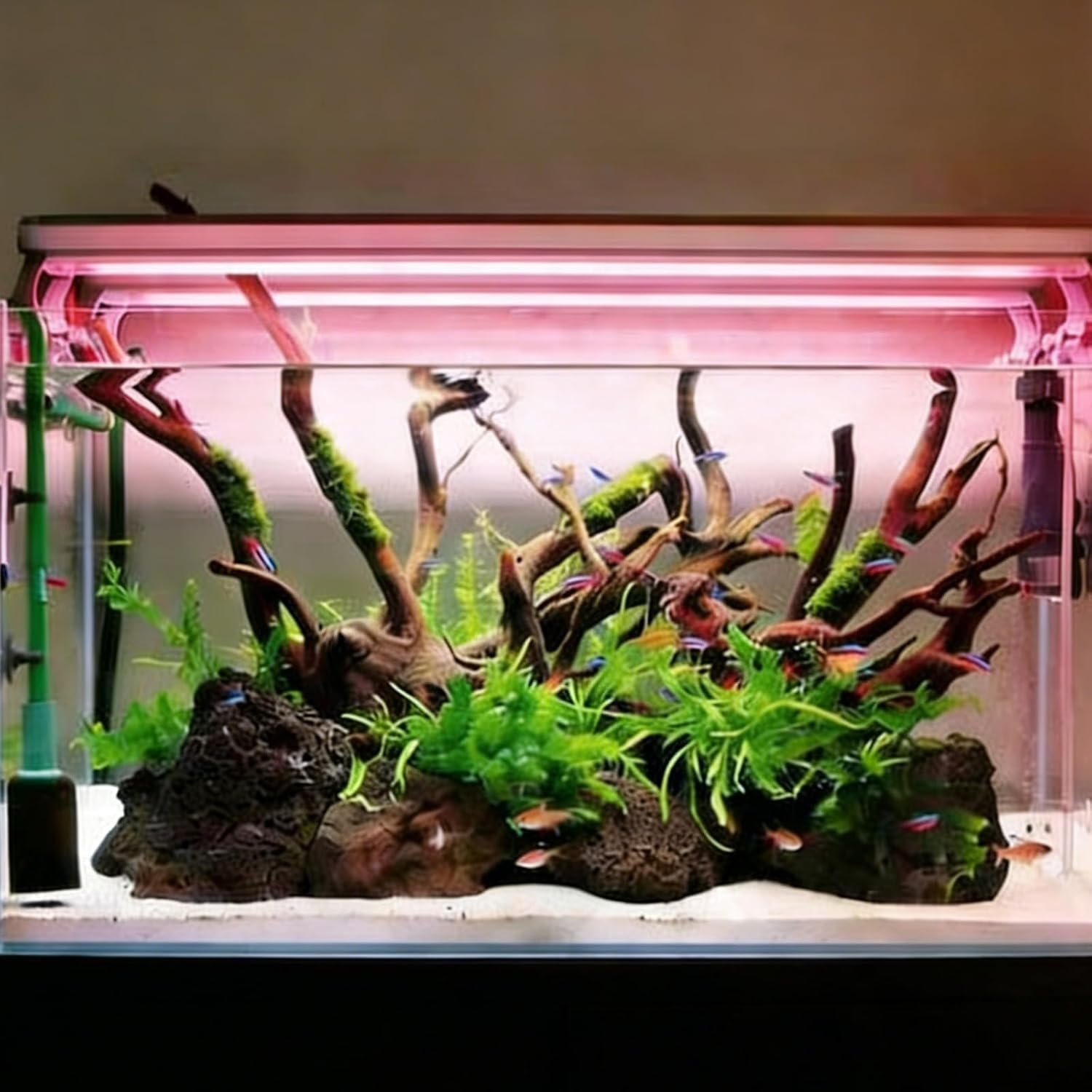 3PCS Driftwood for Aquarium, 5.91”-7.87” Aquarium Driftwood, Fish Tank Driftwood, for Fish Tank and Aquascaping Driftwood for Reptile Tanks（Random Style）