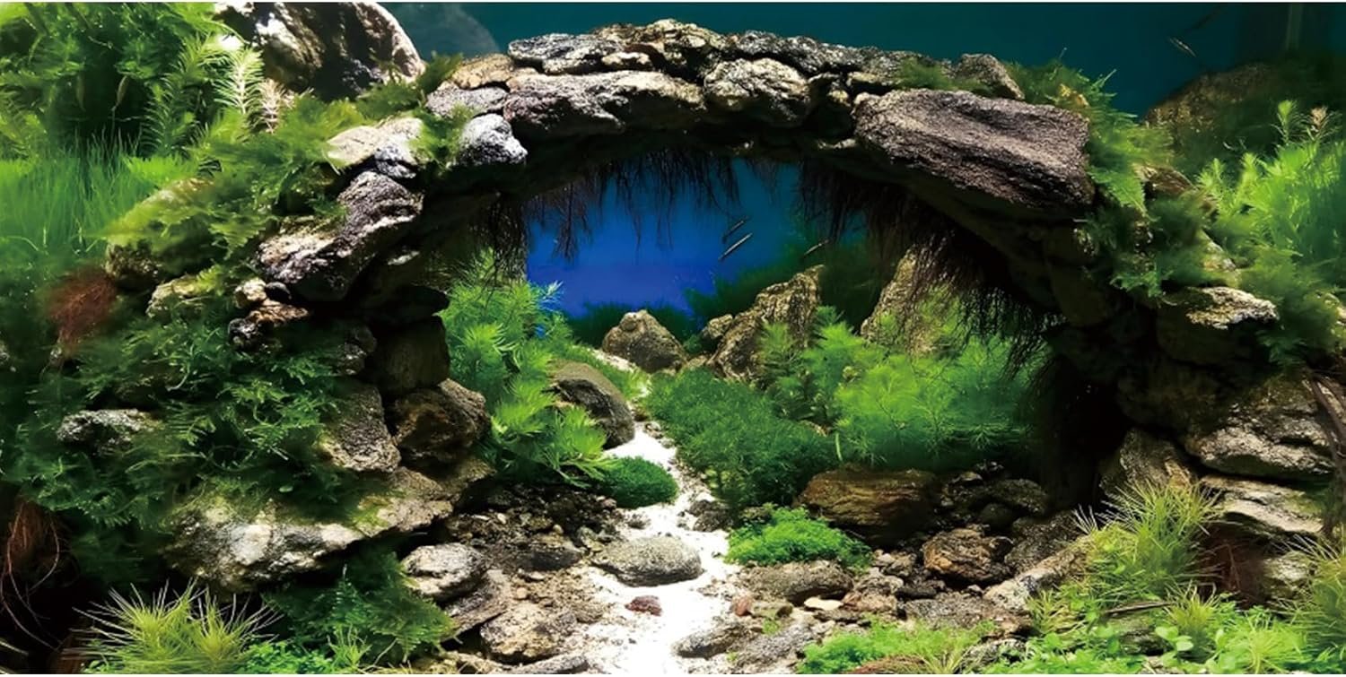 AWERT 24×12 inches Arch Stone Aquarium Background River Bed & Lake Aquarium Vinyl Background Aquatic Plant Fish Tank Background