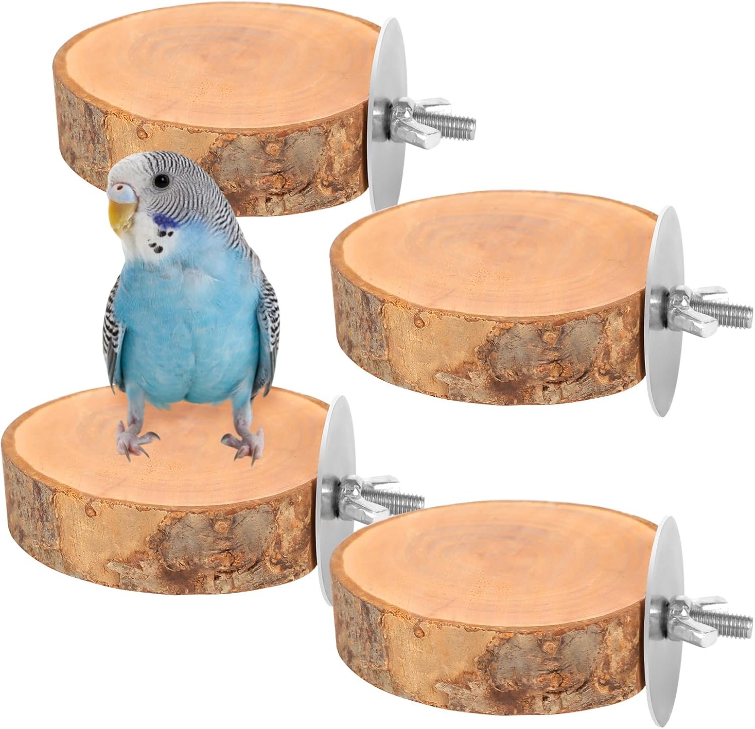 4 Pcs Natural Apple Wood Round Bird Perch Platform for Cage | Fits Small Parrots (Budgies, Conures) | Multi-Level Habitat Gym to Relieve Foot Strain | Tool-Free Mount
