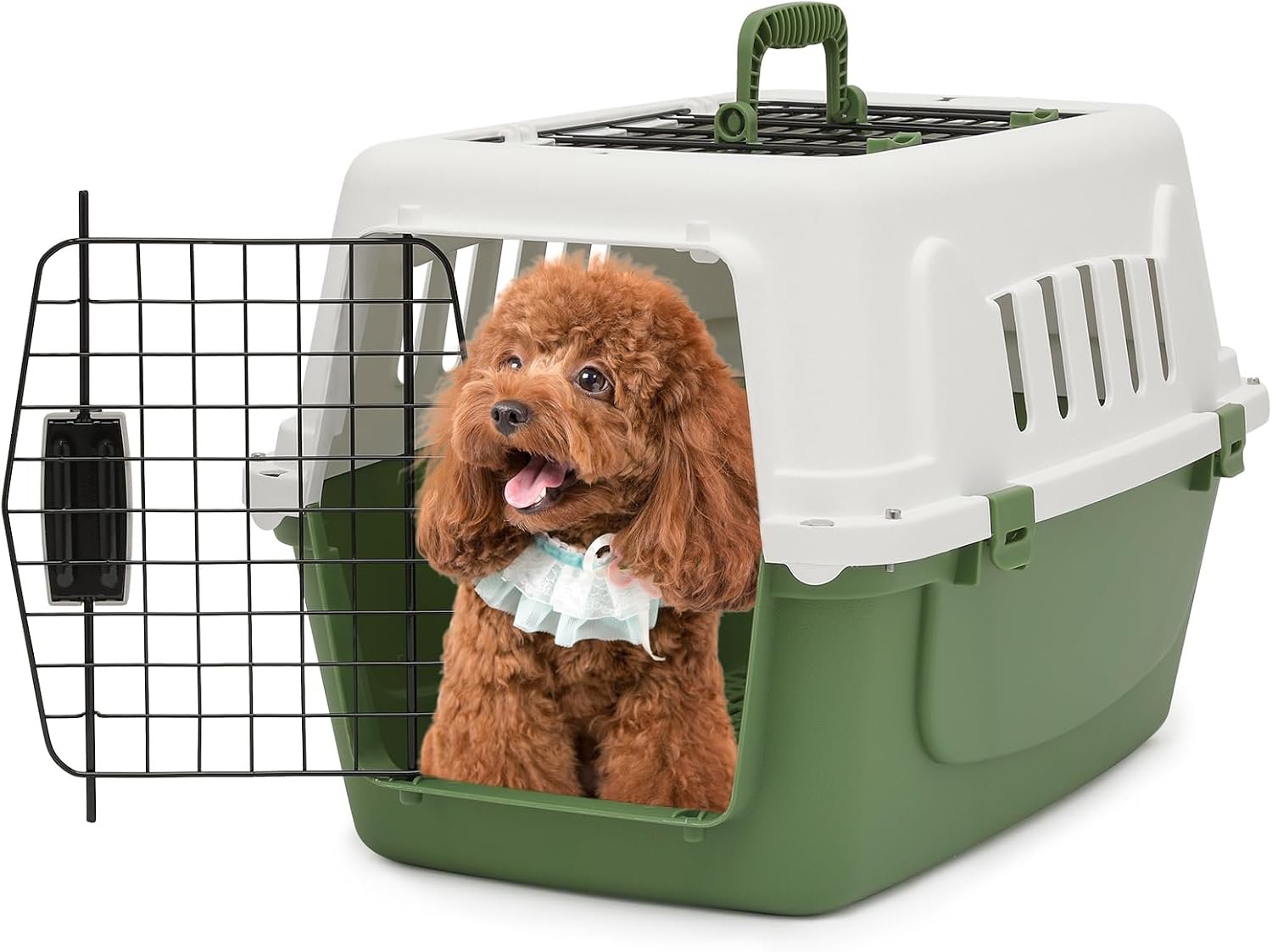 22-Inch Dog Crate Plastic 2-Door Top Loading Cat Carrier, Hard-Sided Dog Travel Carrier for Small Dogs and Cats, Ventilation and Security Lock Design for Pets up to 22 lbs (Green)