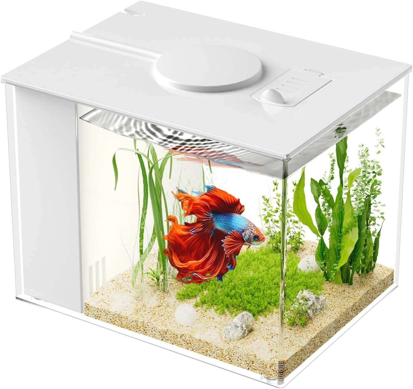 Vehipa 3.7L (1 Gal) Betta Fish Aquarium, Acrylic Small Fish Tank Kit White | Water Filter Pump & LED Light, Ideal for Small Fish, Plants and Shrimp
