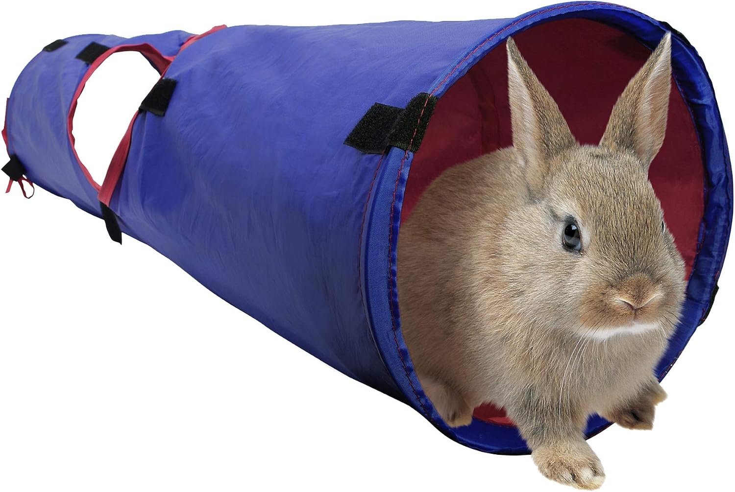 Living World Pet Tunnel, Blue/Red | Small Animal Tunnel for Rabbits and Guinea Pigs