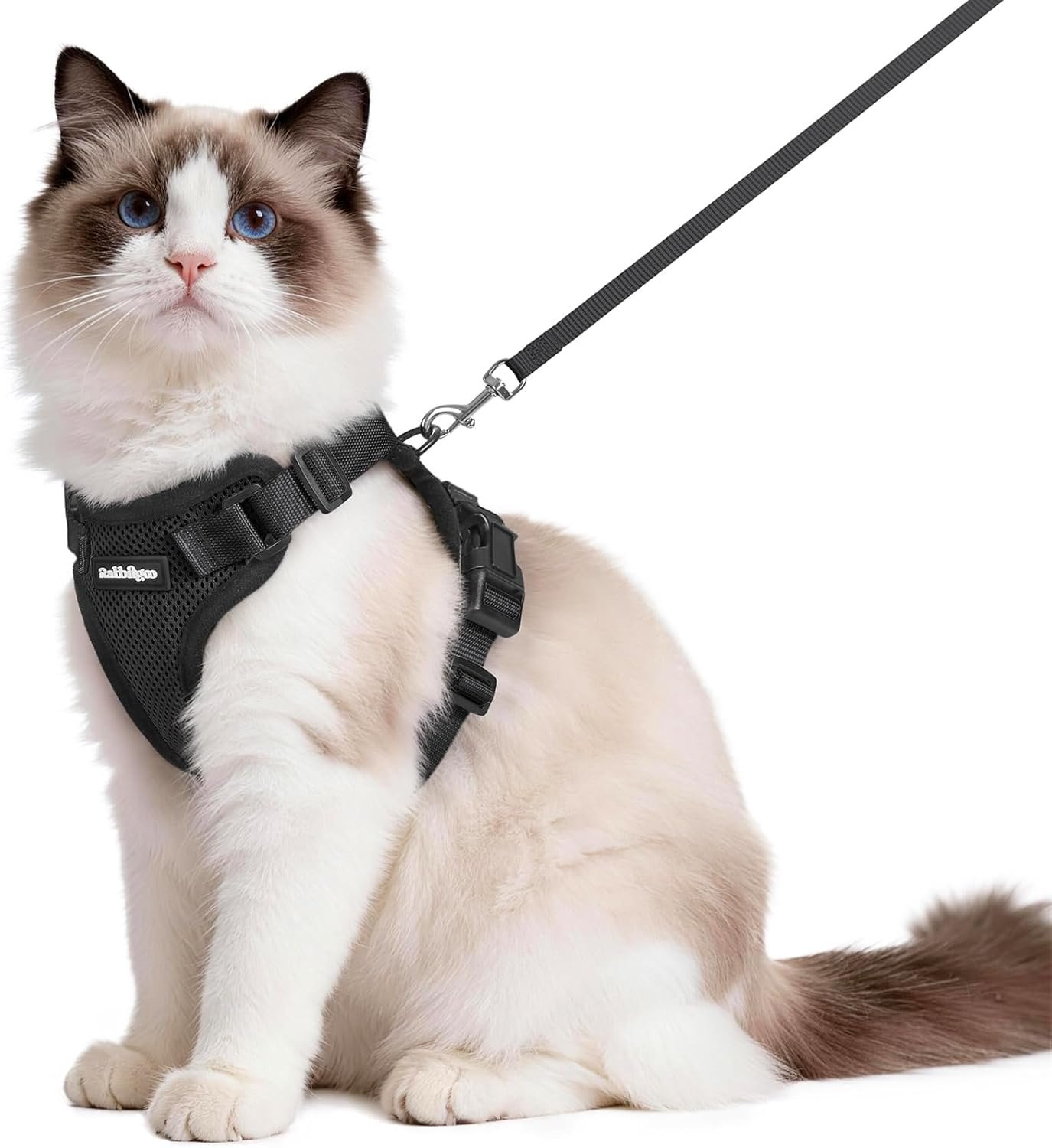 rabbitgoo Cat Harness and Leash Set, Escape Proof Vest, Black | Soft Breathable Mesh, Easy Adjustable Fit, Snap Buckles, Sturdy Clip, Reflective Strips, for Medium to Large Cats Walks, M
