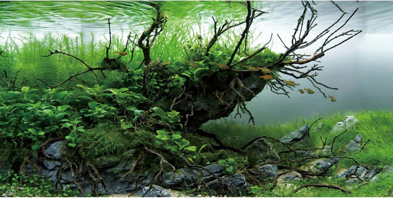 AWERT 48×24 inches Branches Fish Tank Background Seaweed Aquarium Background River Bed & Lake Aquarium Background Vinyl Background