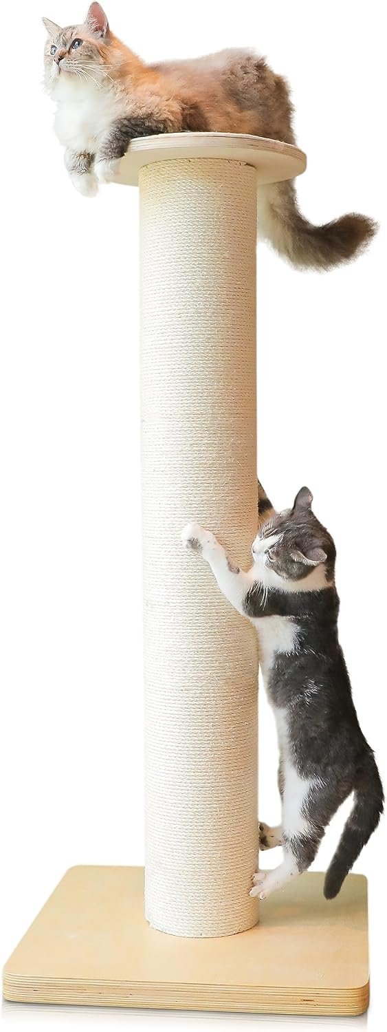 50″ Tall Cat Scratching Post, Extra-Large Post for Large Cats | 36 lb Heavy Build, Thickest 7.3 inch Sisal Column, Wax Oiled Plywood Base, Stable for Maine Coon and Large Cats