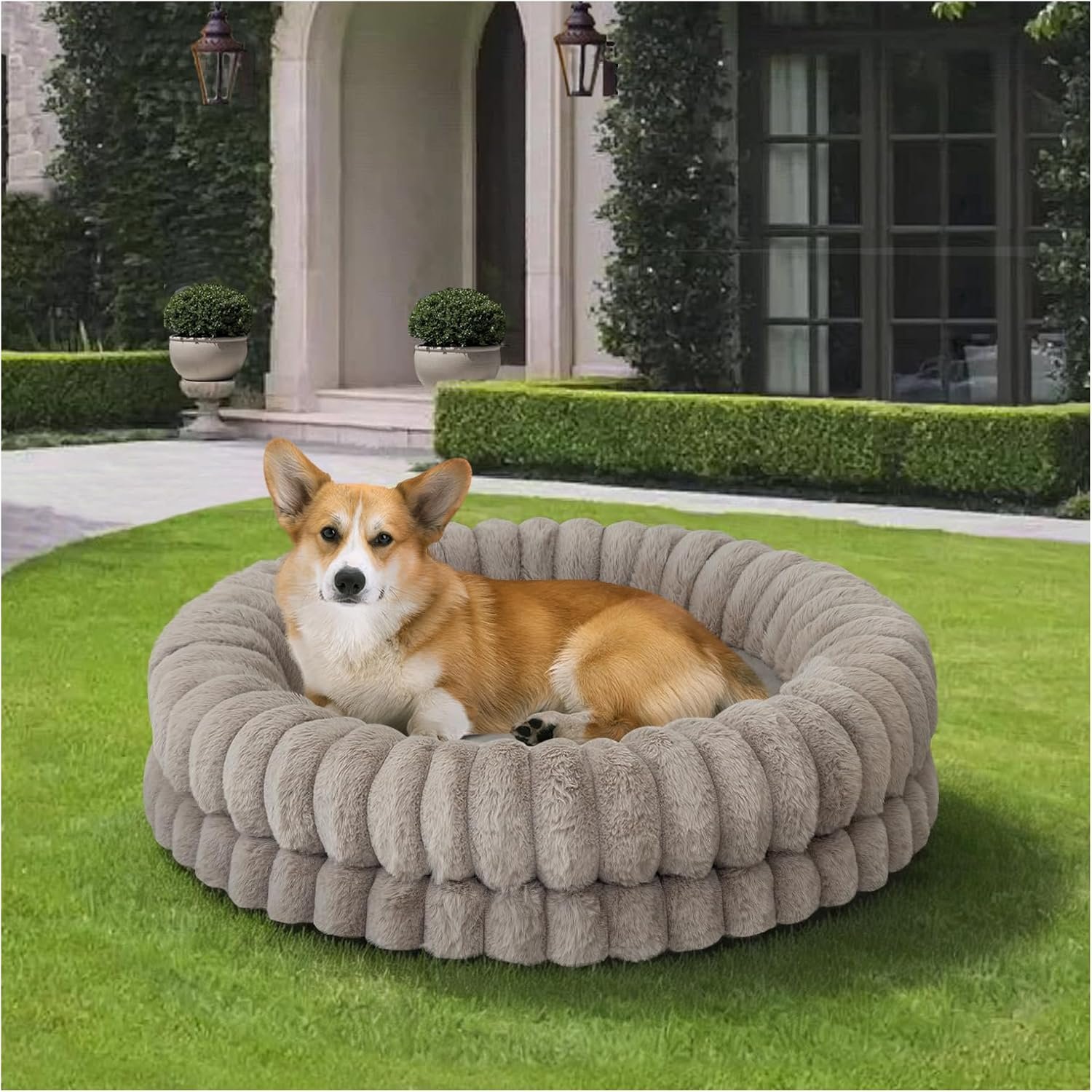 BALANCE Luxury Donut Dog Bed, 30 Inches Round Dog Bed Medium Size Dogs Washable, Orthopedic Calming Dogs Bed for Pets with Anti-Slip Bottom, Oatmeal