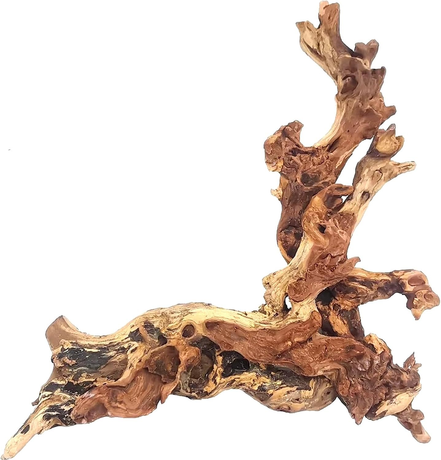Hamiledyi Aquarium Driftwood, Natural Large 8-15in Coral Driftwood for Aquarium Decor Reptile Tank Decor Terrarium Ornament Wood Branch Trunk Stump for Fish Betta Lizard