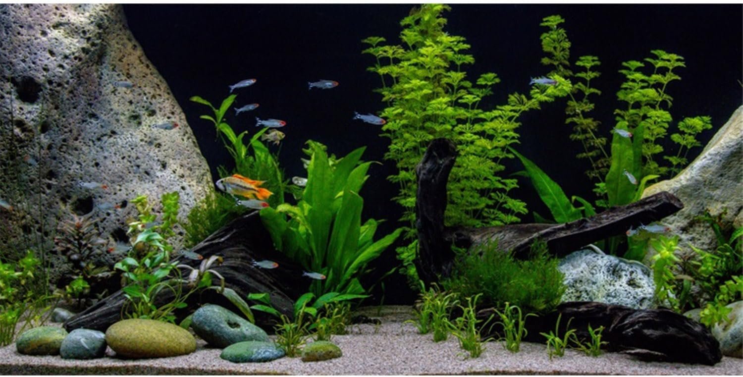 AWERT Vinyl Underwater Aquatic Plant Fish Tank Background Stone River Bed & Lake Aquarium Background 72×24 inches
