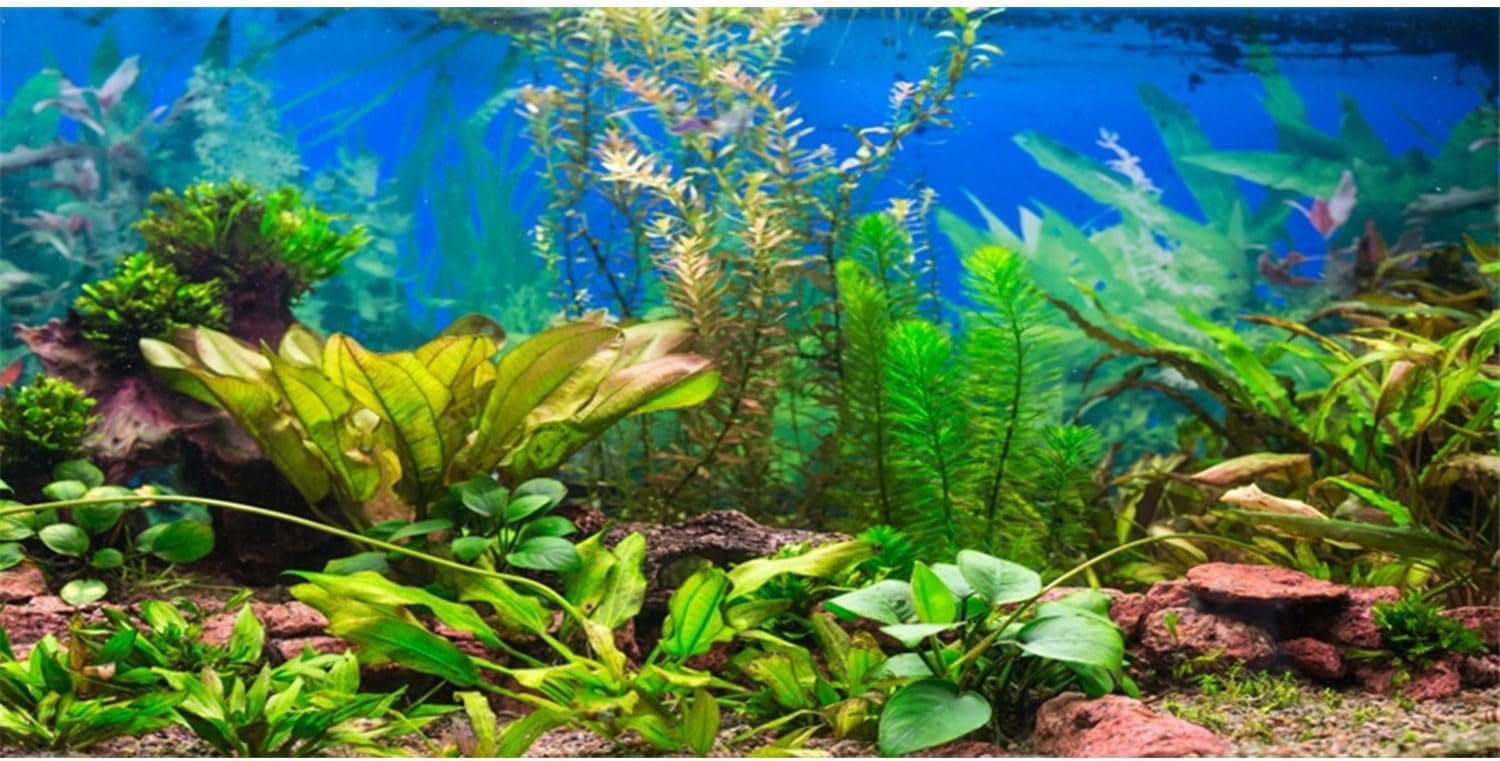 48×20 in Aquatic Plant Aquarium Backdrop Riverbed Fish Tank Background | AWERT Lush Underwater Green Plants Lake Landscape Vinyl Aquarium Background