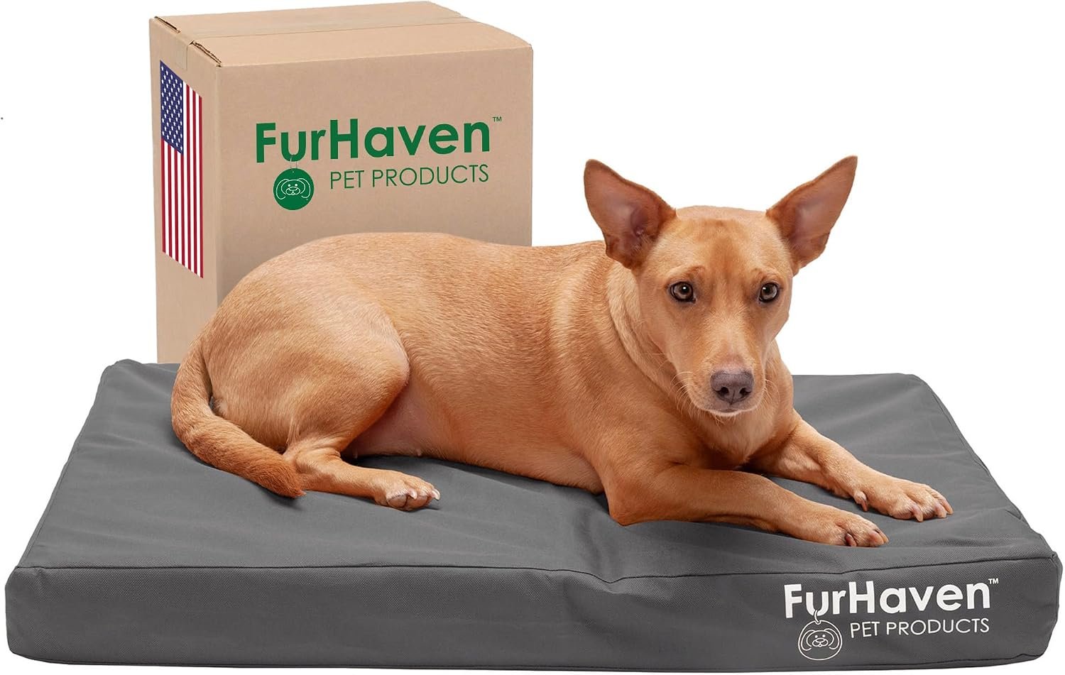 Furhaven Water-Resistant Orthopedic Dog Bed for Medium/Small Dogs w/ Removable Washable Cover, For Dogs Up to 35 lbs – Indoor/Outdoor Logo Print Oxford Polycanvas Mattress – Stone Gray, Medium