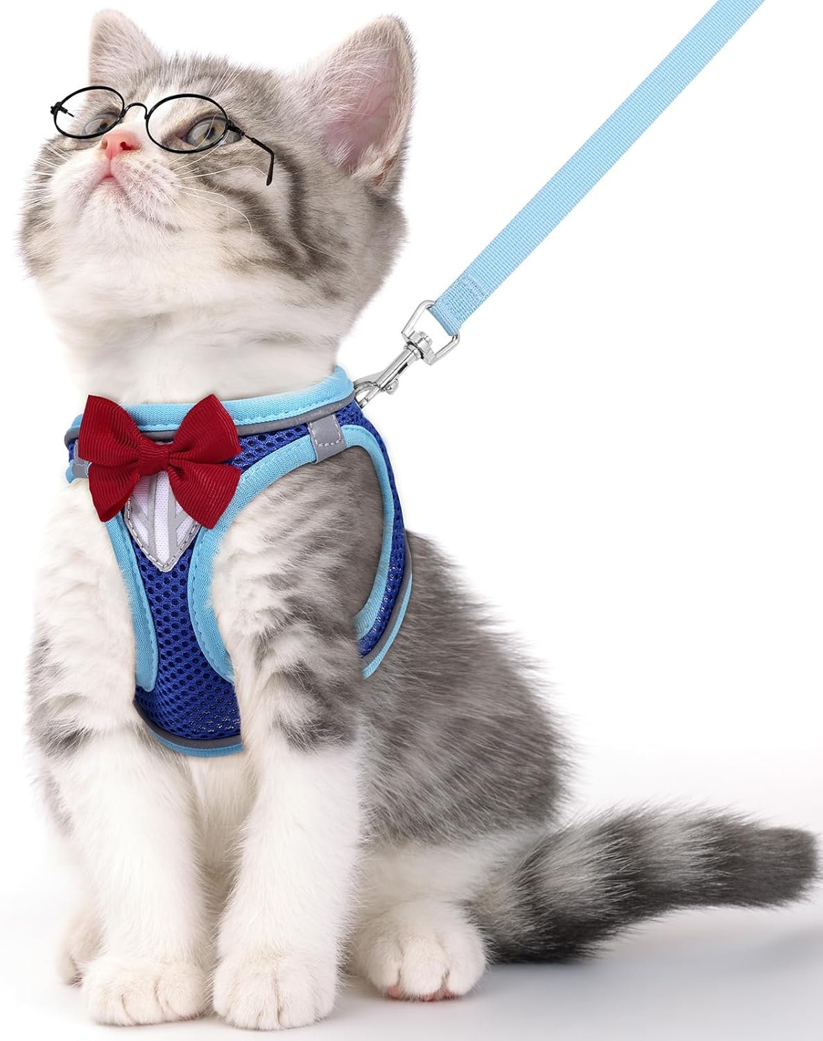 Cat Vest Harness and Leash Set, Escape Proof Kitten Harness Blue XS | Safe Reflective Strips, Adjustable Easy Wear Kitty Harness, Sturdy Clip Buckle, Breathable Mesh , for Kitty Puppy Bunny Walks