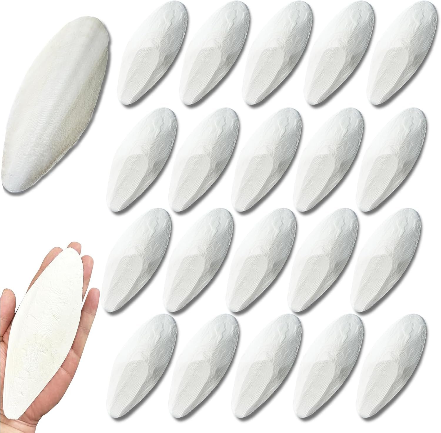 4.7-5.1” Cuttlebone for Parakeets Cuttlebone for Birds – Natural Cuttlefish Bone Bulk Chew Toy Bird Bites Calcium Stone for Canaries Tortoises,Snails,Reptiles,Parrots,Cockatiel-20PCS