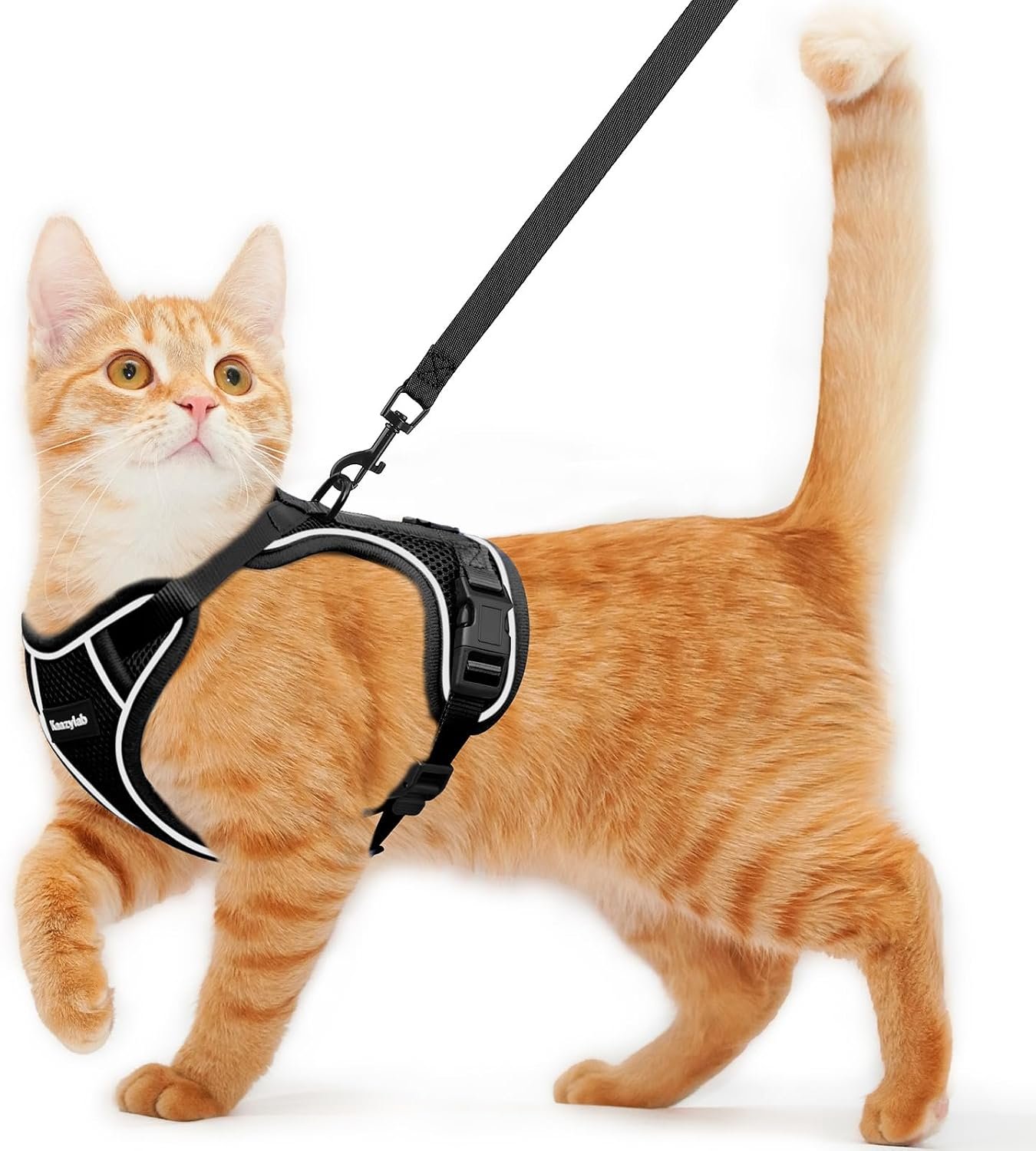 Cat Harness and Leash for Walking Escape Proof Soft Adjustable Cat Leash | Breathable Comfortable Vest Easy to Wear Kitten Harness for Outdoor travel (Black, S (7-12lb))