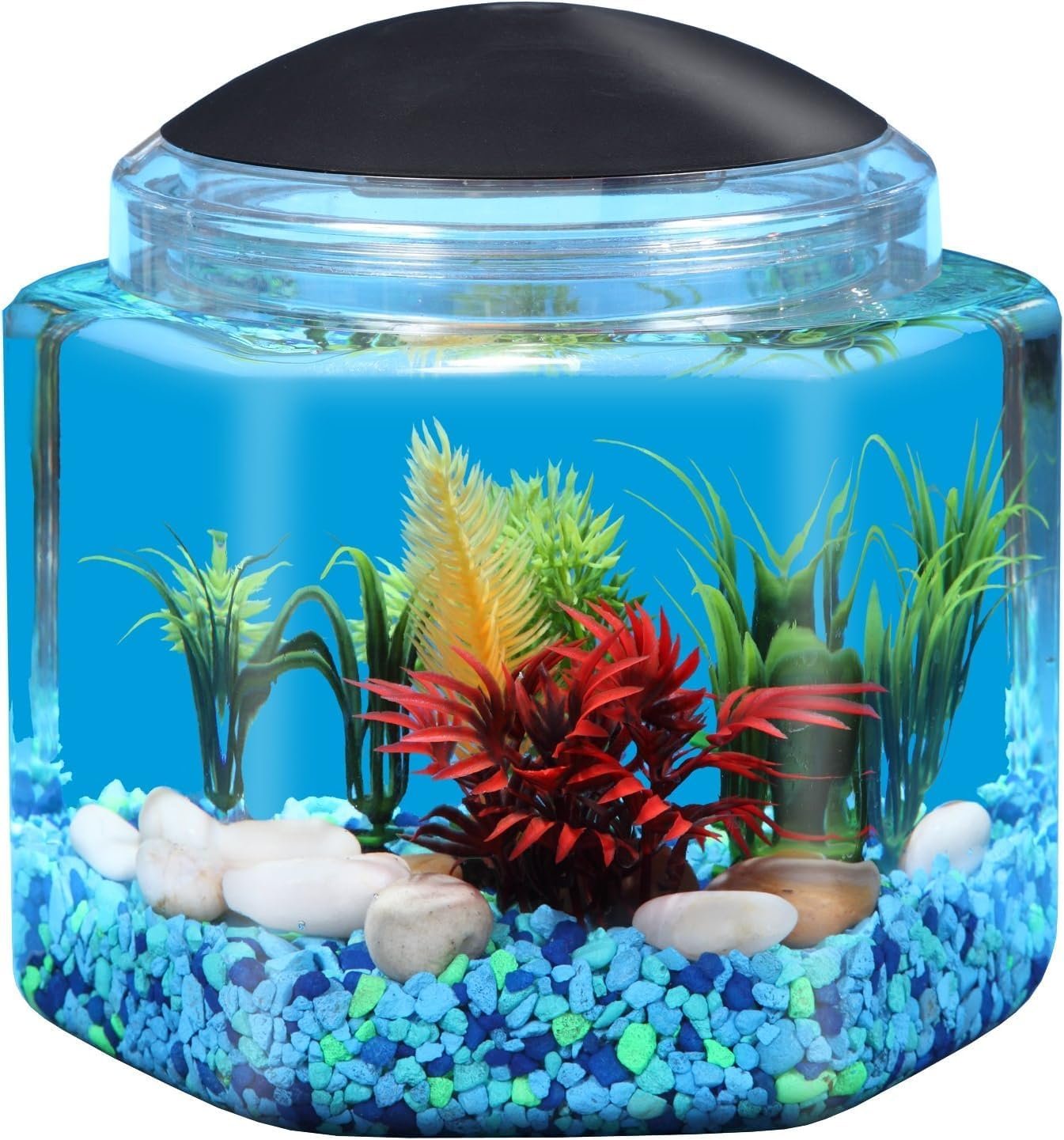 Koller Products 1 Gallon Hex BettaTank – LED Lighting