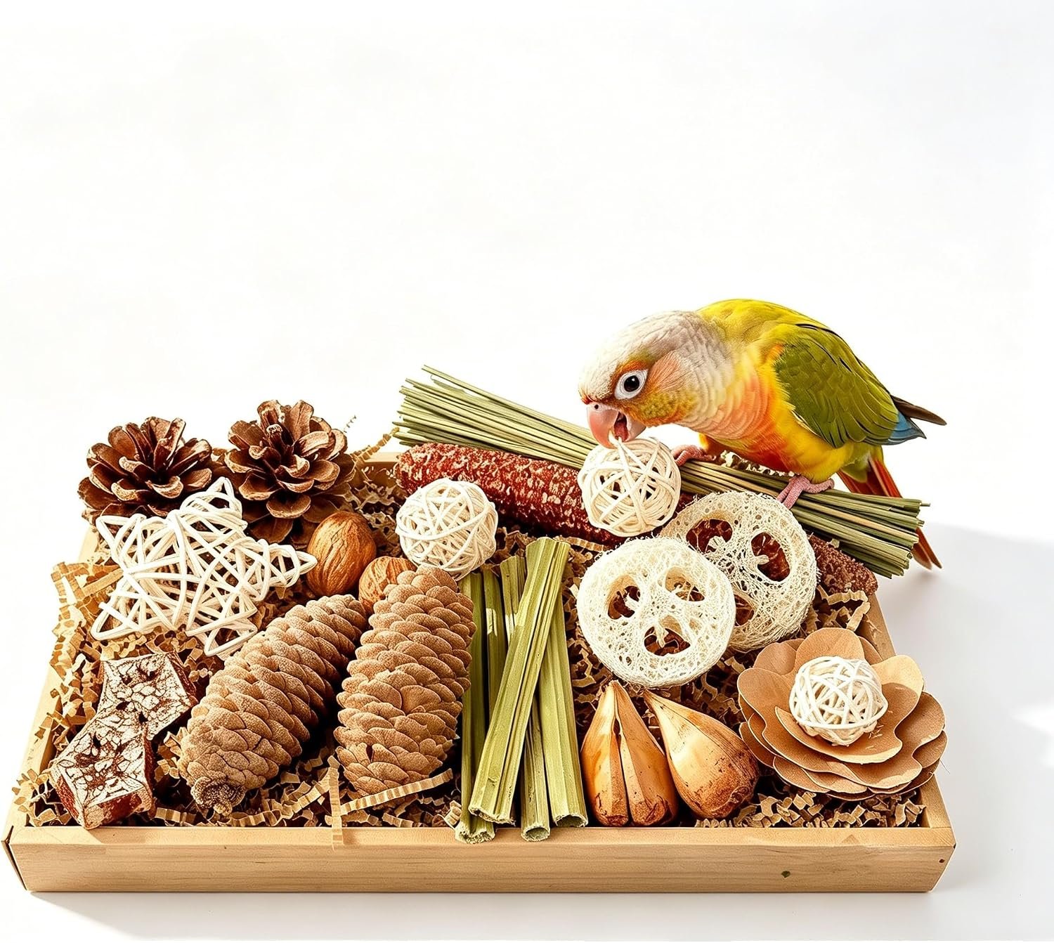 Natural Foraging Box for Parrots – 14pcs Bird Chew Toy with Natural Materials for Parakeets, Cockatiels, Conures, Lovebirds, Budgies | Mental Enrichment, Boredom Relief & Beak Exercise