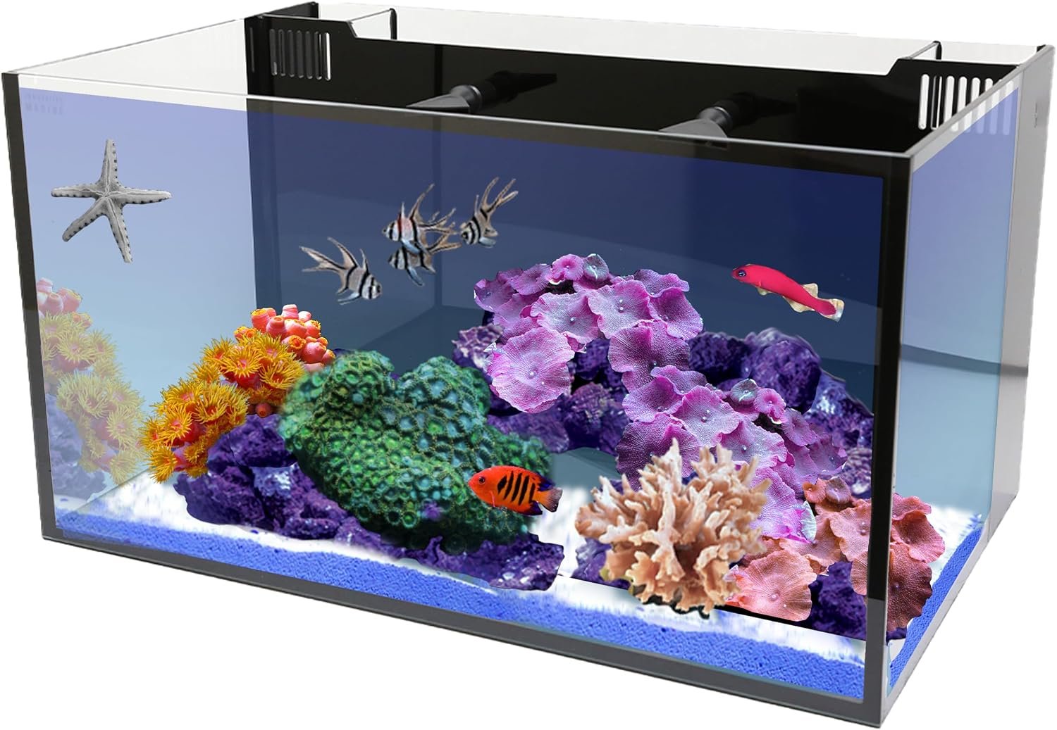 Innovative Marine Starter Kit Aquariums (20 Gallon Long)