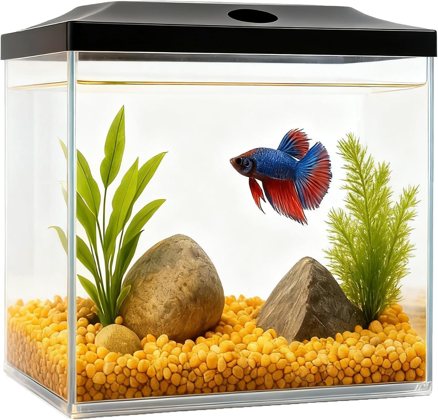 0.8-Gallon Cube Small Fish Tank, Shatterproof Plastic Fish Tank with LED Lighting, Temporary Fish Bowl for Fry, Isolation, Education & Decoration