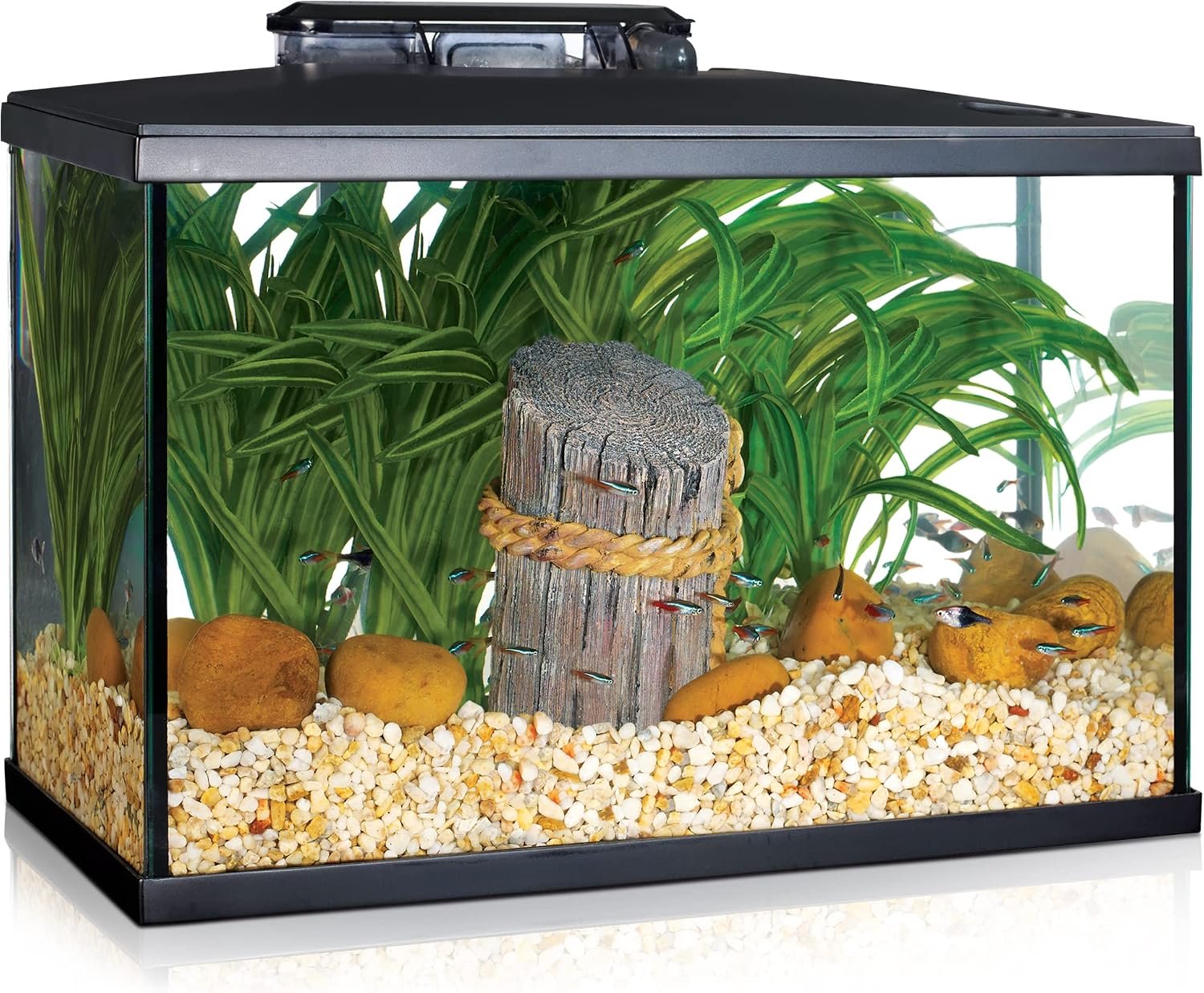 Marina 5 Gallon (19 L) LED Aquarium Kit | Ideal for Beginner Aquarists and New Fish-Keepers