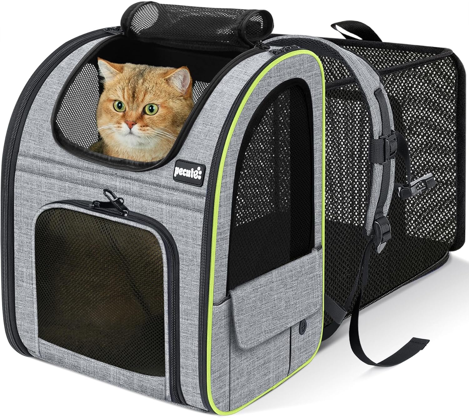 pecute Cat Backpack Expandable, Cat Carrier Backpack with Breathable Window | Durable Oxford Cloth, Lockable Zipper,Use for Pet Under 11 lbs to Travel
