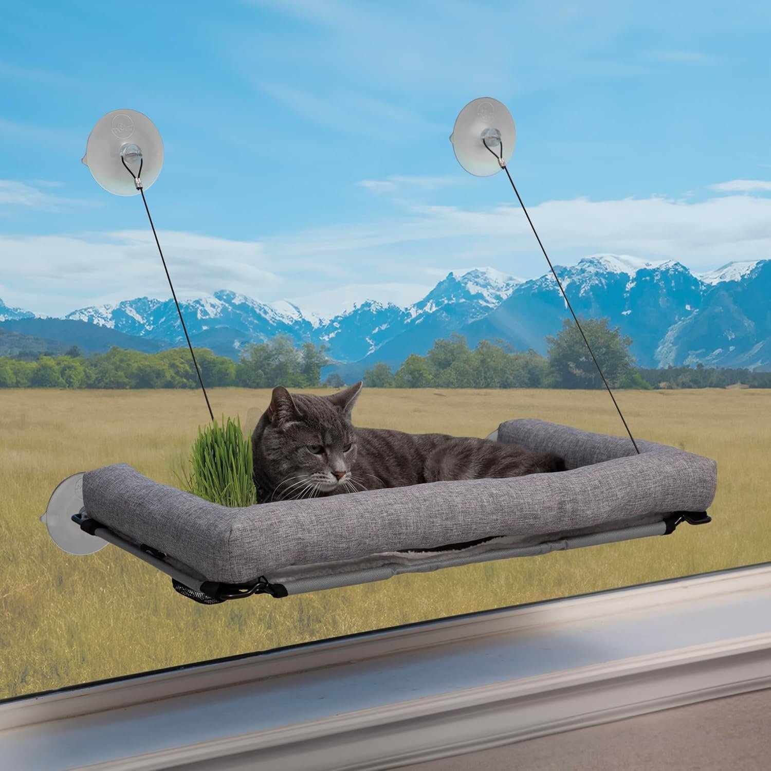 K&H Cat Window Perch, EZ Mount Deluxe Bolstered Sill with Cat Grass Kit | Window Hammock Bed for Indoor Pets, Home Grown Grass Toy for Bored Indoor Kitties, 23x12in, Gray