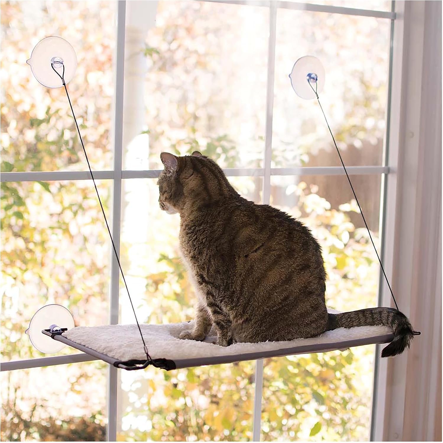 K&H Pet Products Window Lounger Cat Window Perch for Large Cats, Sturdy Kitty Sill Window Hammock Bed, Steel Frame, Sturdy Suction Cups, Washable Shelf Cover, Foldable – 23 X 12in Fleece