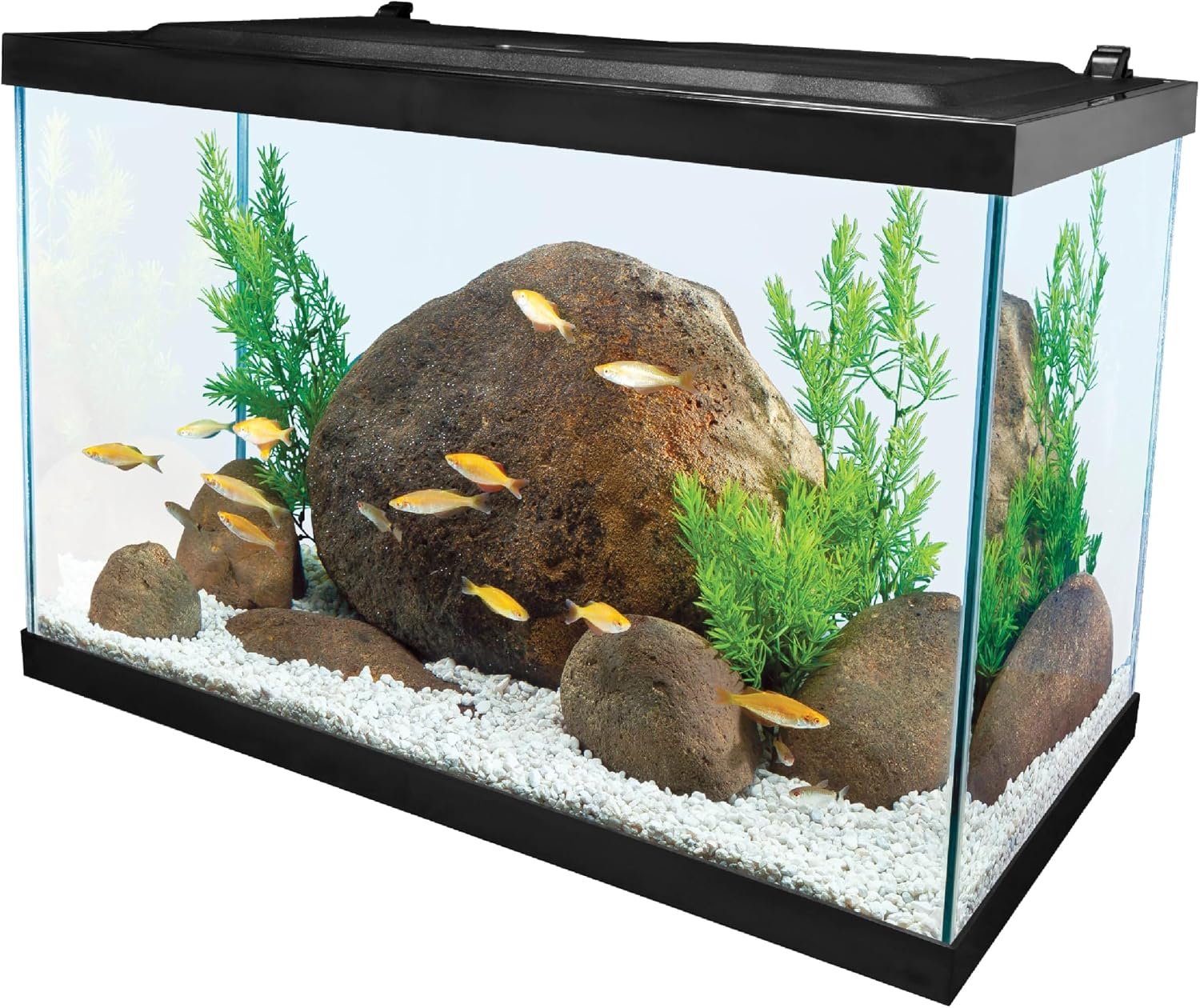 Tetra 20 Gallon Aquarium Kit LED Lighting, Filter & Heater