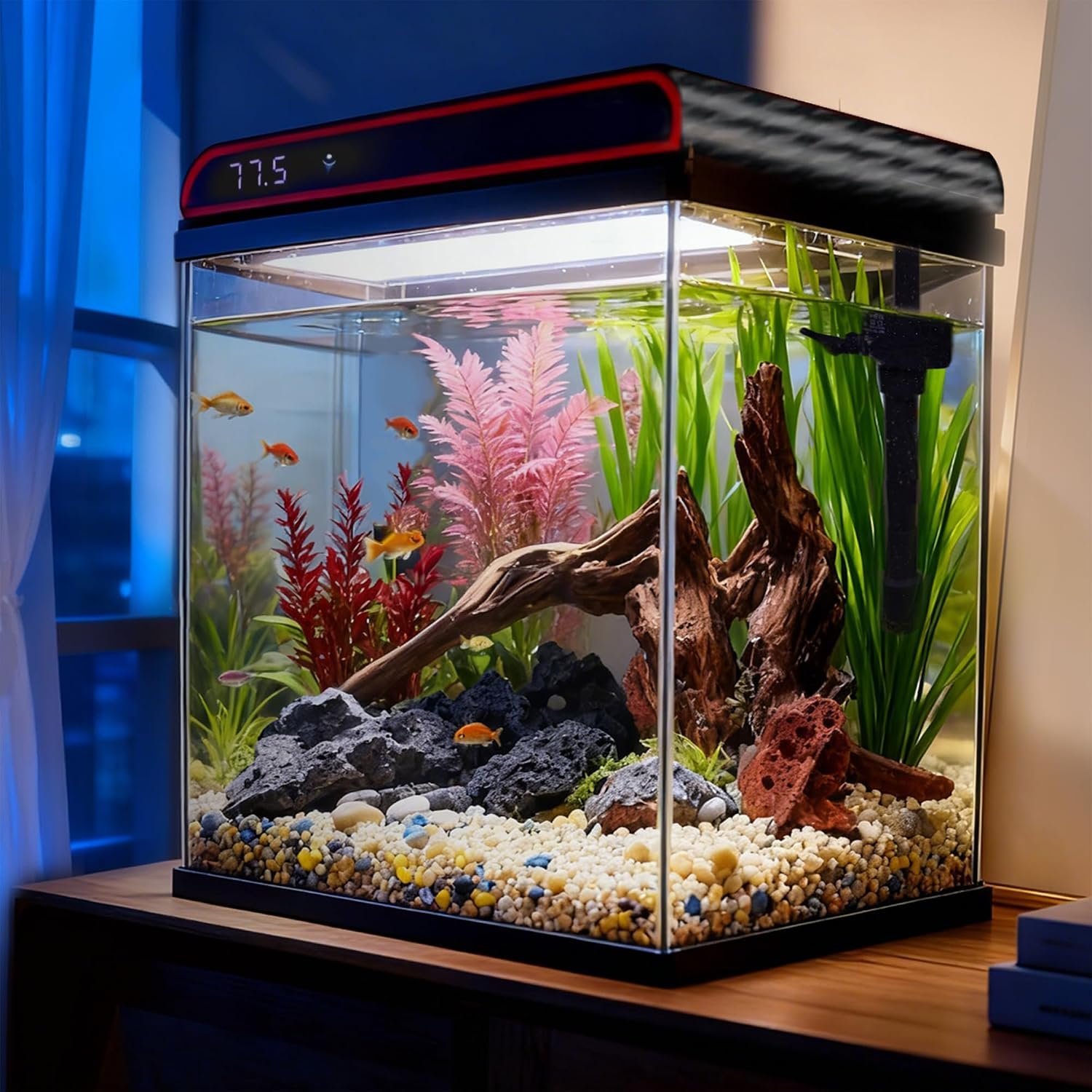 Coospider 5 Gallon Glass Fish Tank, Aquarium Starter Kit, Aquarium Kit with Quiet Filter Pump, 3-Color LED Lights, Simpel Self-Cleaning, Temp Monitoring for Fish, Shrimp, Family Kids Gift Ideas