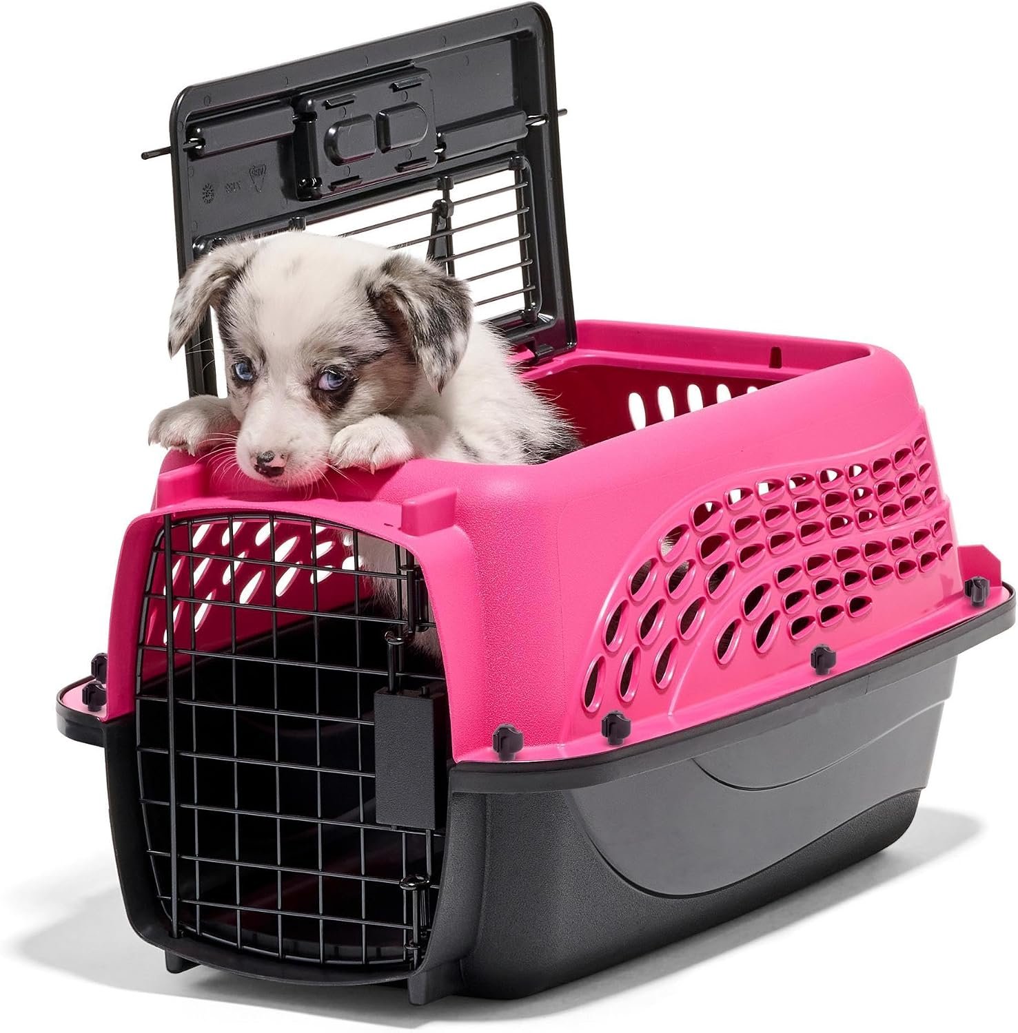 Petmate Dog Crates for Small Dogs & Cat Carriers, Two-Door Plastic Pet Kennel, Top & Front Loading, XS 19″ For Dogs Up To 10 lb, Pink | Plastic pet kennel made in USA, for small pups and kittens, dual entry design, great for travel and vet trips, easy access