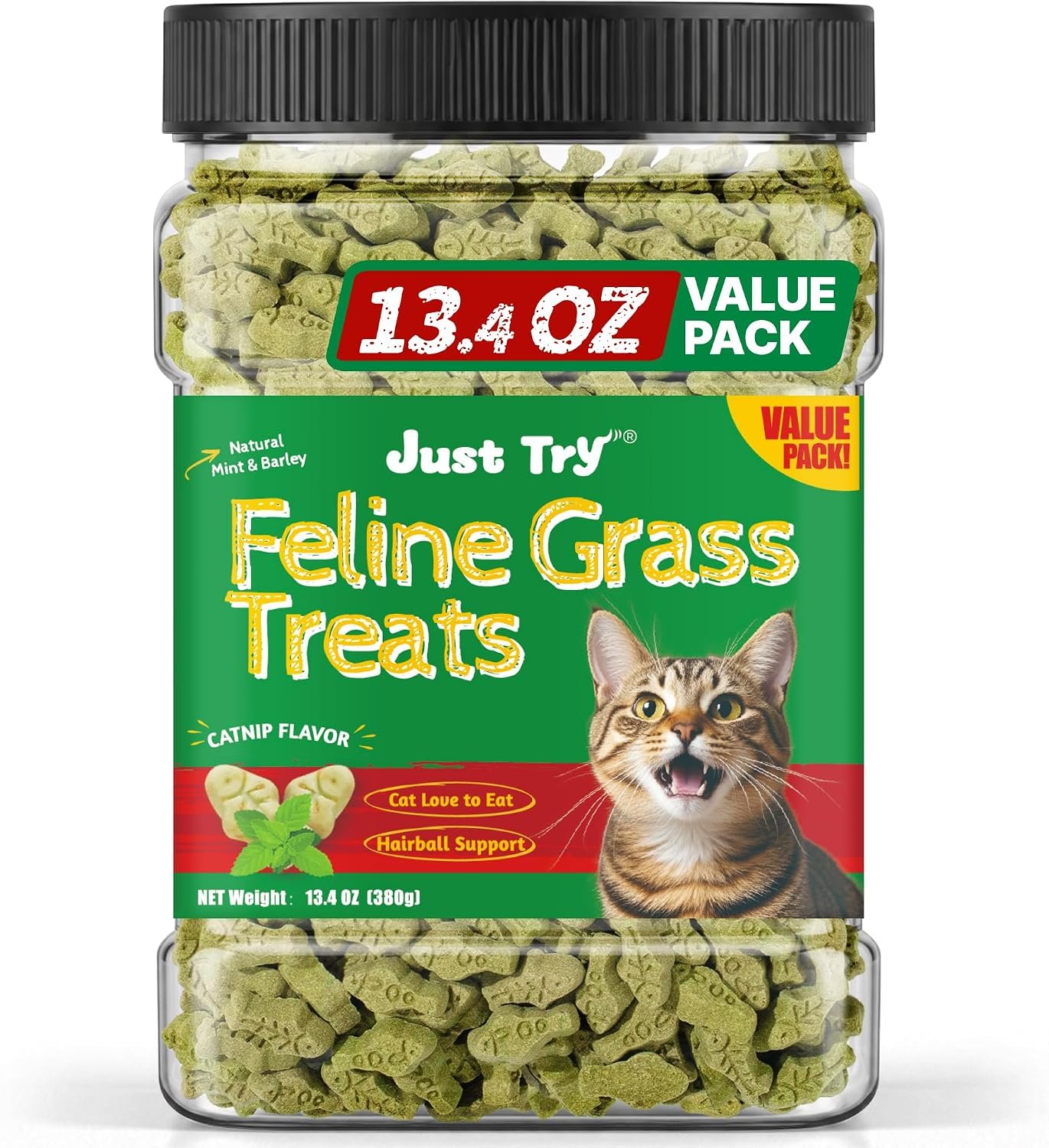 Just Try Cat Grass Treats for Indoor Cats Hairball Control 13.4 OZ | Catnip for Cats,Dental Care,Natural Salmon,Healthy Cat Grass Treats,Kitten Snacks,Training Biscuits