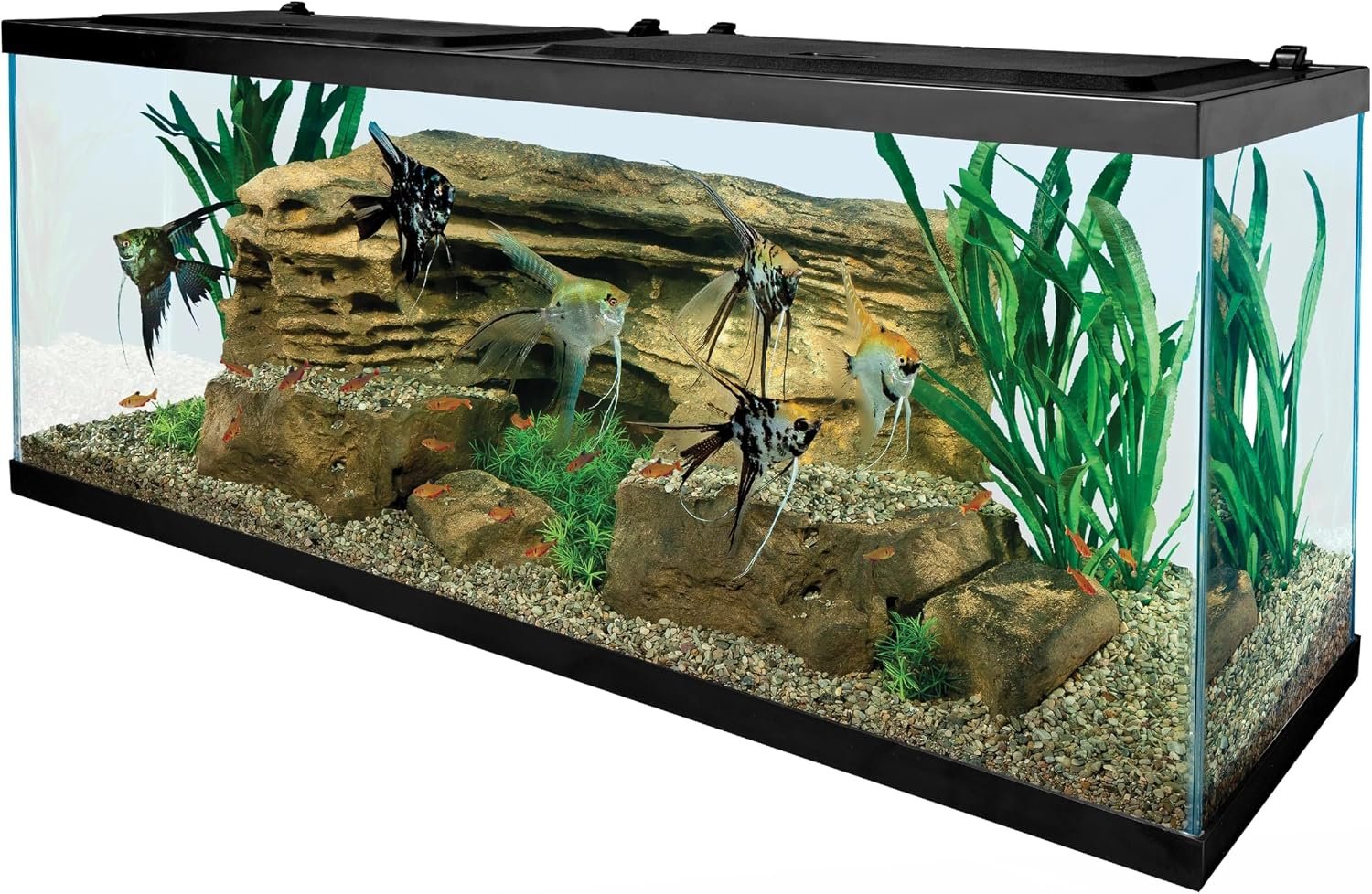 Tetra LED 55 Gallon Complete Fish Tank Kit for Freshwater Fish
