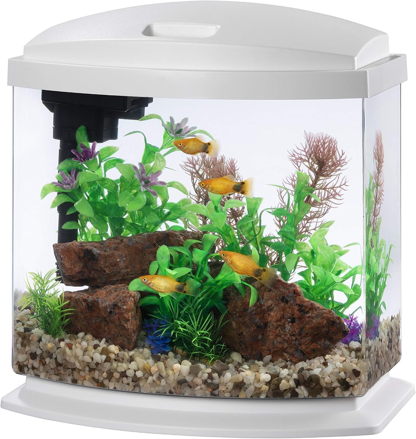 Aqueon LED MiniBow Small Aquarium Fish Tank Kit with SmartClean Technology, Small Fish Tank, White, 2.5 Gallon