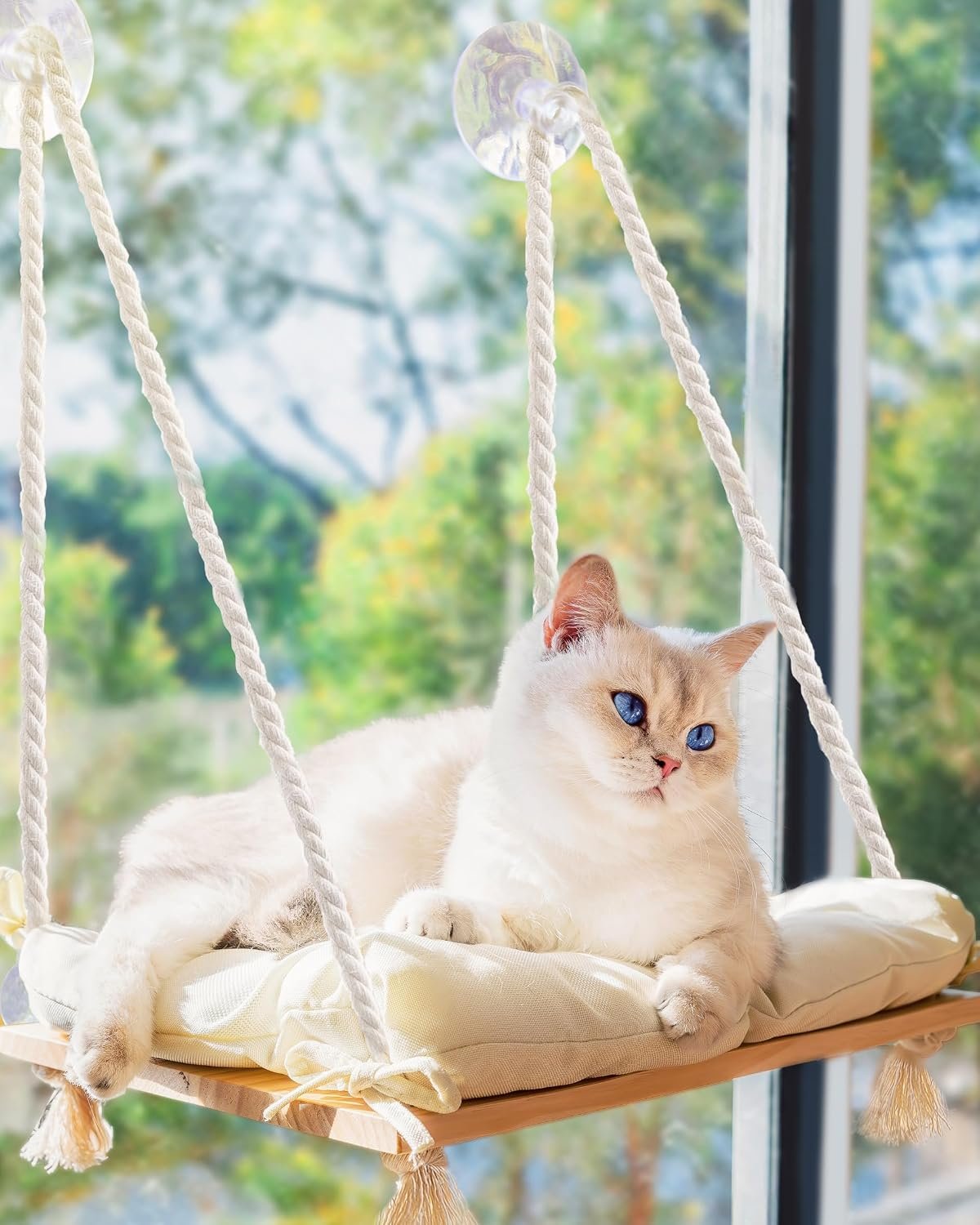 Cat Window Perch with Industrial-Grade Suction Cups – Solid Pine Wood Hammock Bed, Soft Cushion – 42 lb Capacity for Cats Inside