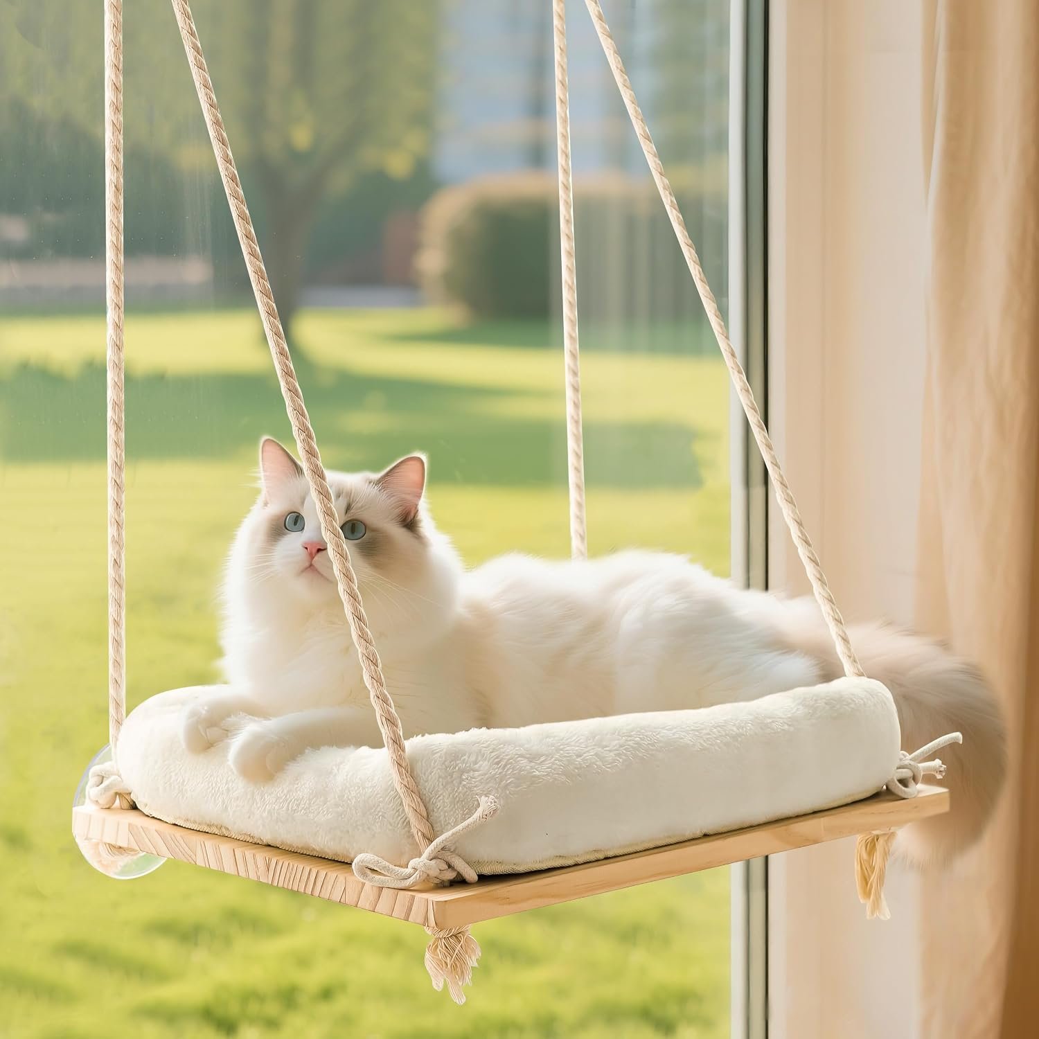 Cat Window Perch Hammock with Solid Wood Seat & Plush Cushion | 4 heavy-duty suction cups, comfortable indoor cat bed & perch, sturdy wooden window seat, space-saving cat hammock
