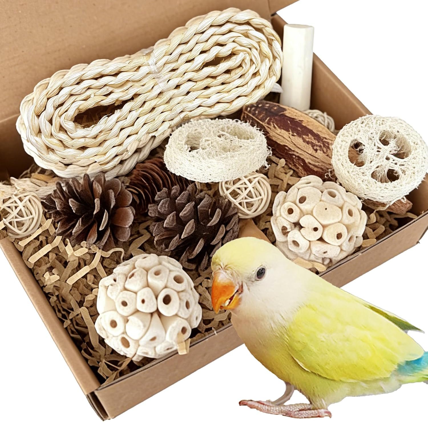 Natural Bird Toys Rattan Bird Foraging Box Parrot Shredding Toys Conure Chewing Toys for Cockatiel Lovebird Parakeet Budgie and Small to Medium Birds (Medium)