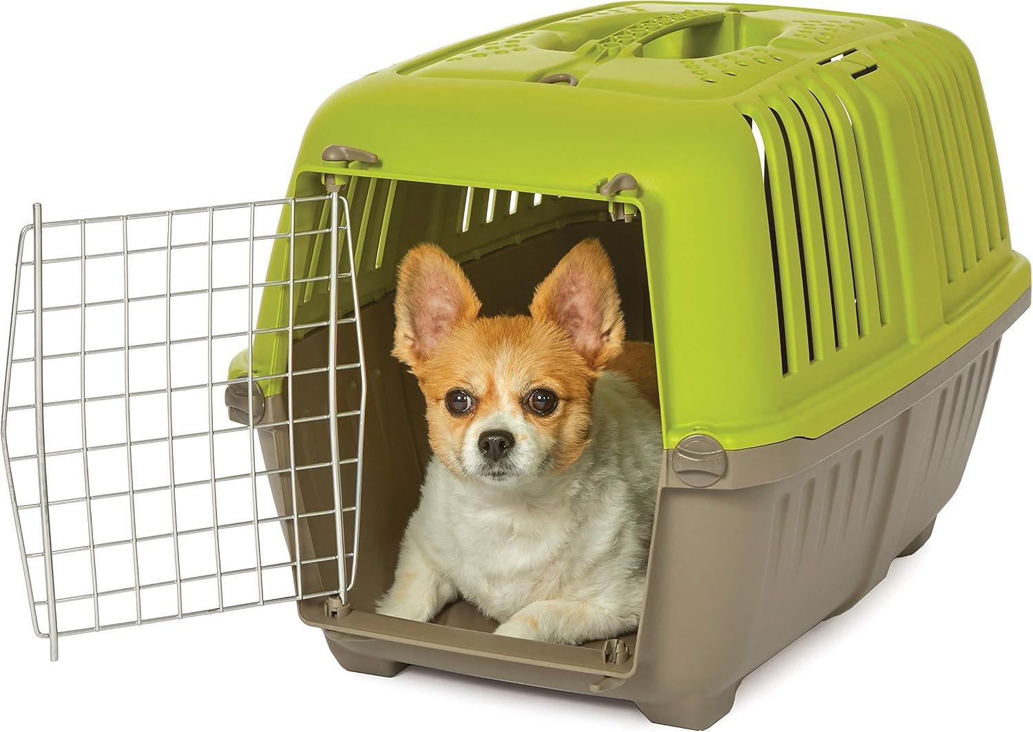 Spree by Midwest 24-Inch Travel Carrier, Green, Fits Pets up to 25 lbs | Hard-Sided Pet Carrier, Steel Door, Ventilated Design, Locking Tabs, Easy Assembly