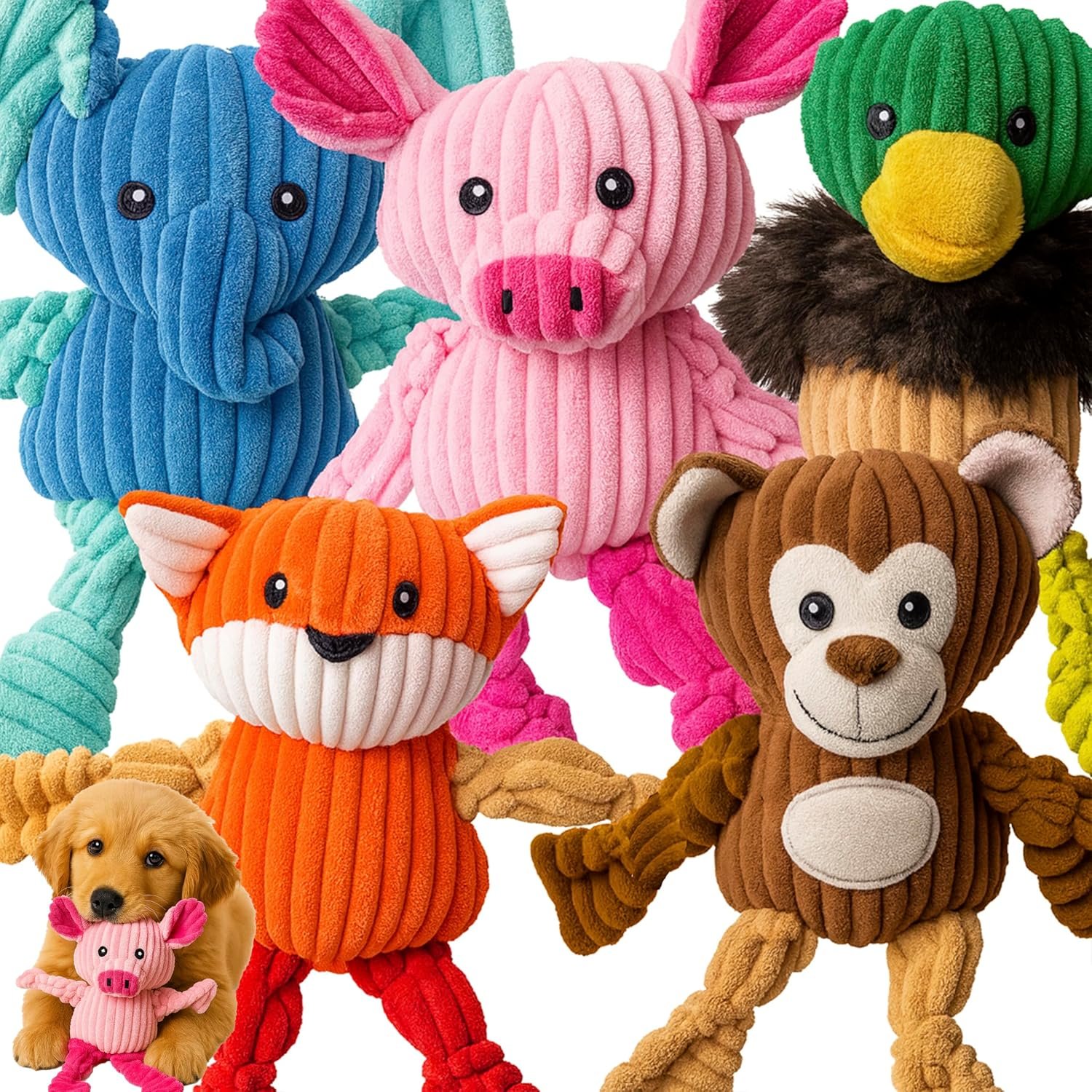 Jalousie Plush Toys Assortment Value Bundle Puppy Pet Mutt Squeak Toy for Medium Large Dogs (5 Pack Knotted)
