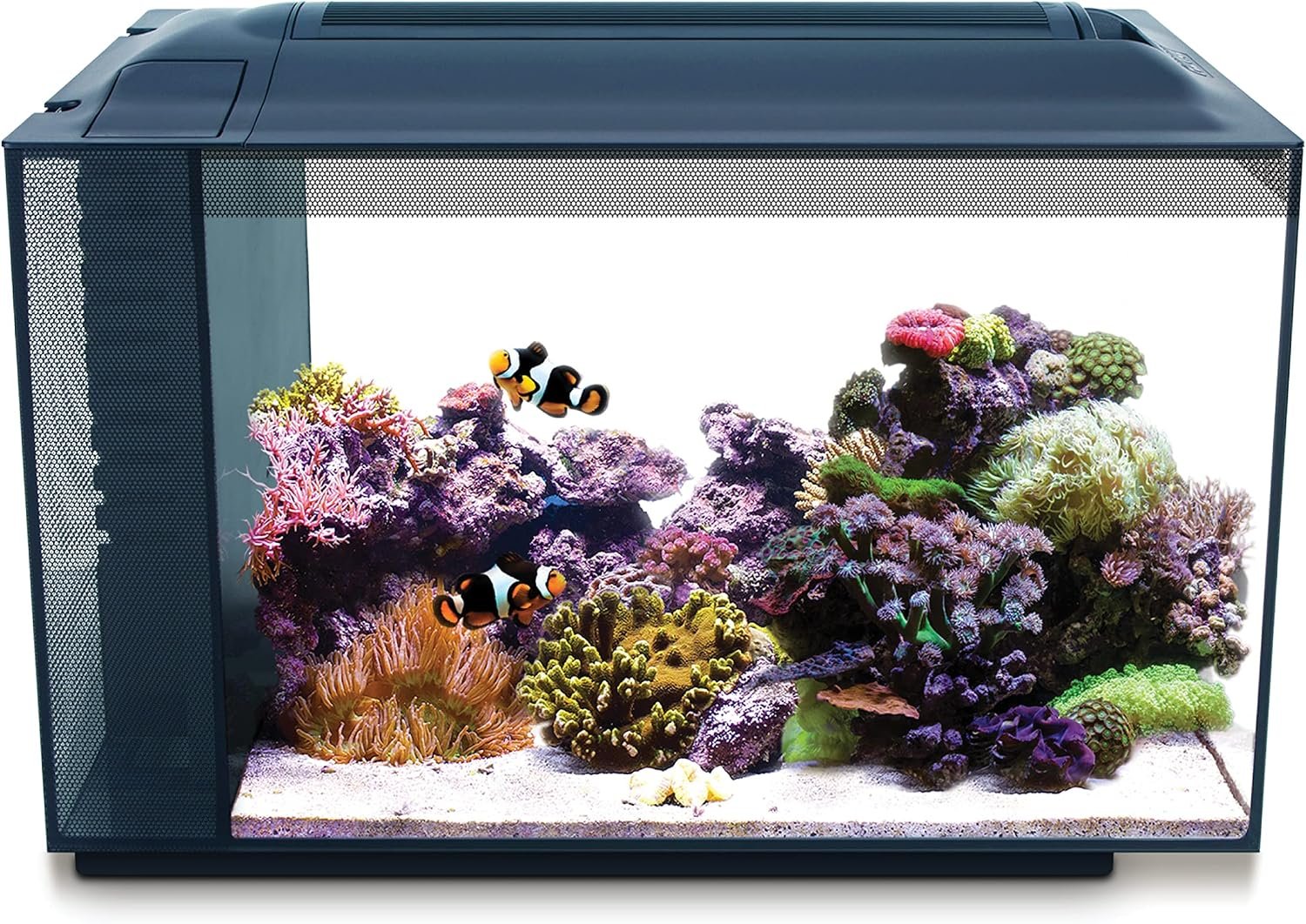 Fluval Evo XII Saltwater Aquarium Kit, 13.5 Gal. | Saltwater Fish Tank with Reef-Capable LED, Efficient 3-Stage Filtration and Seamlessly Integrated Hardware