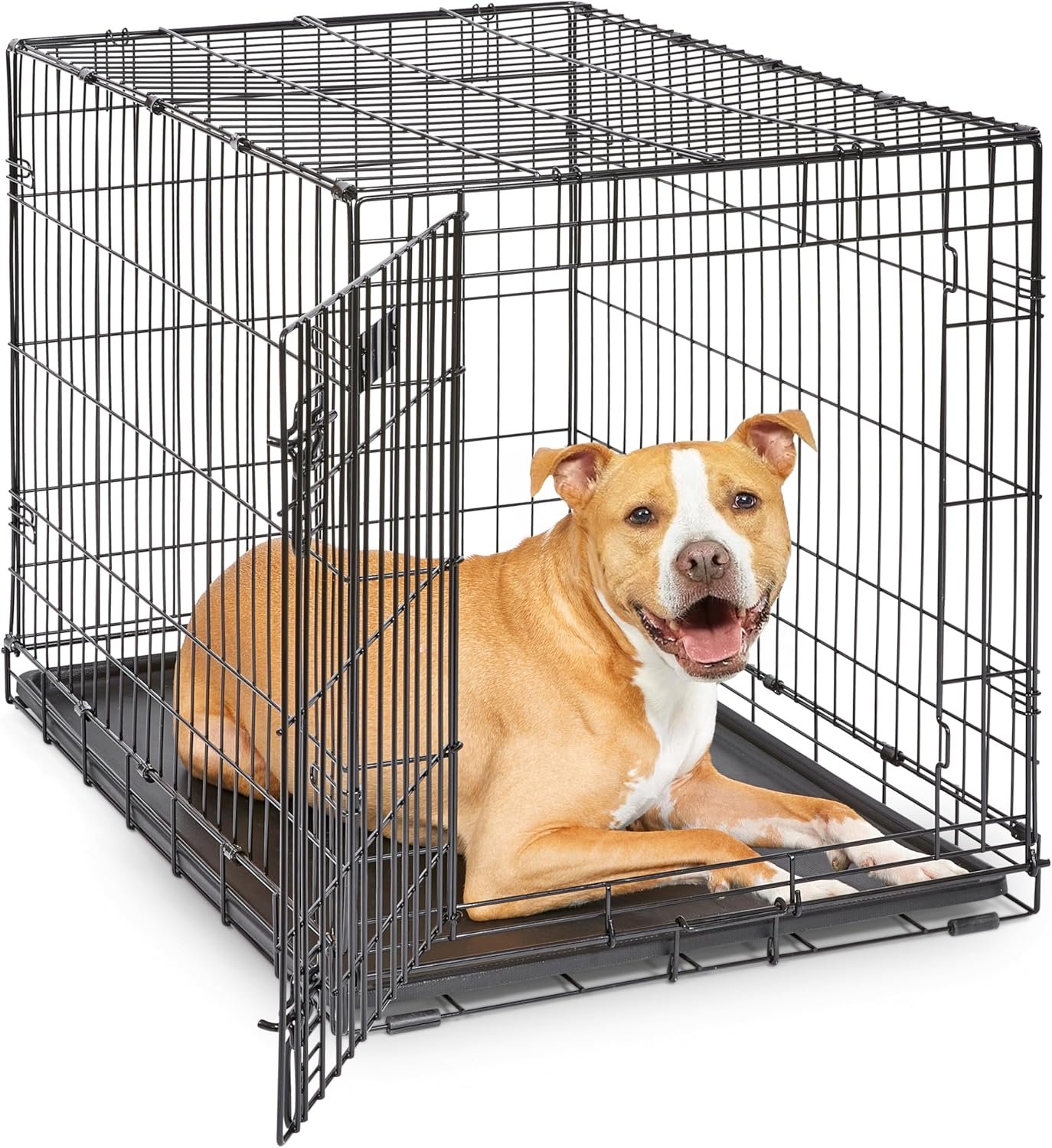 MidWest Homes for Pets 36-Inch iCrate for Medium-Large Breeds, 41-70 lbs, Single Door Folding Dog Crate with Divider Panel, Leak-Proof Tray & Secure Latches, Portable, Durable & Easy to Assemble